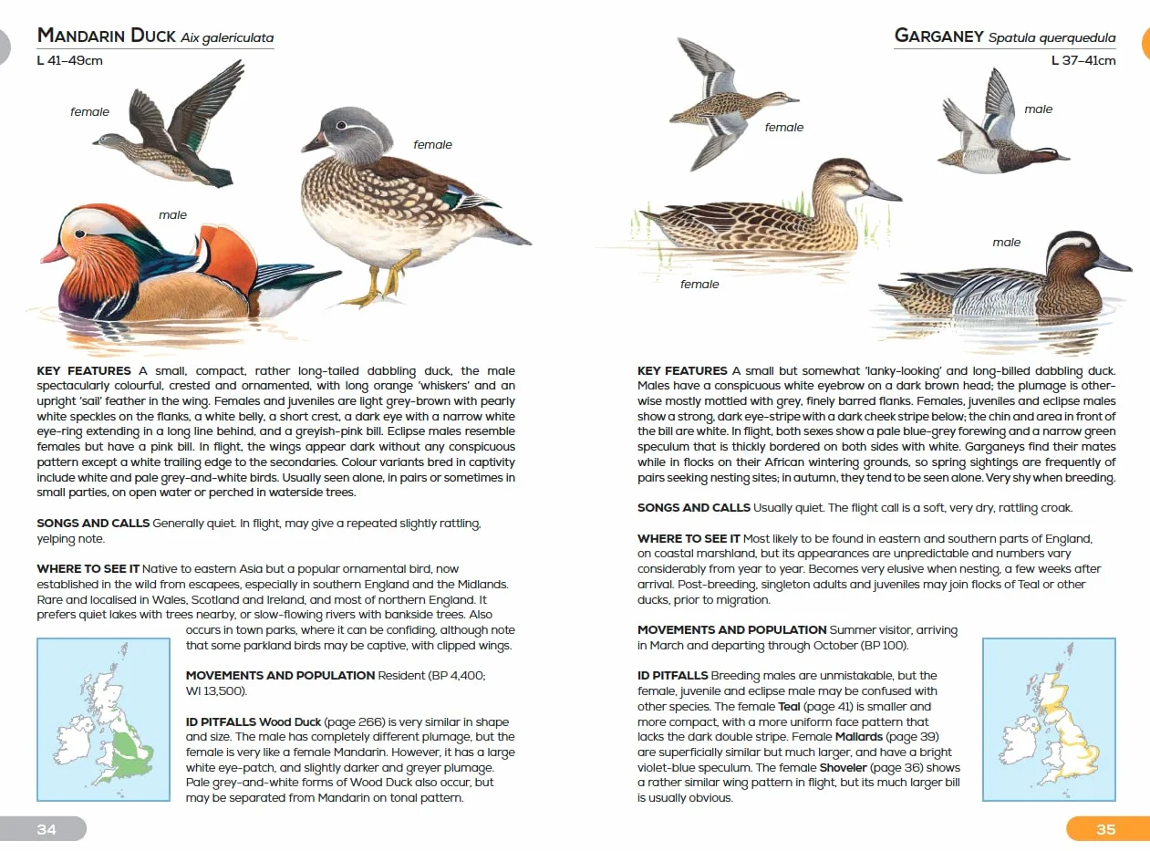 RSPB Pocket Guide to British Birds