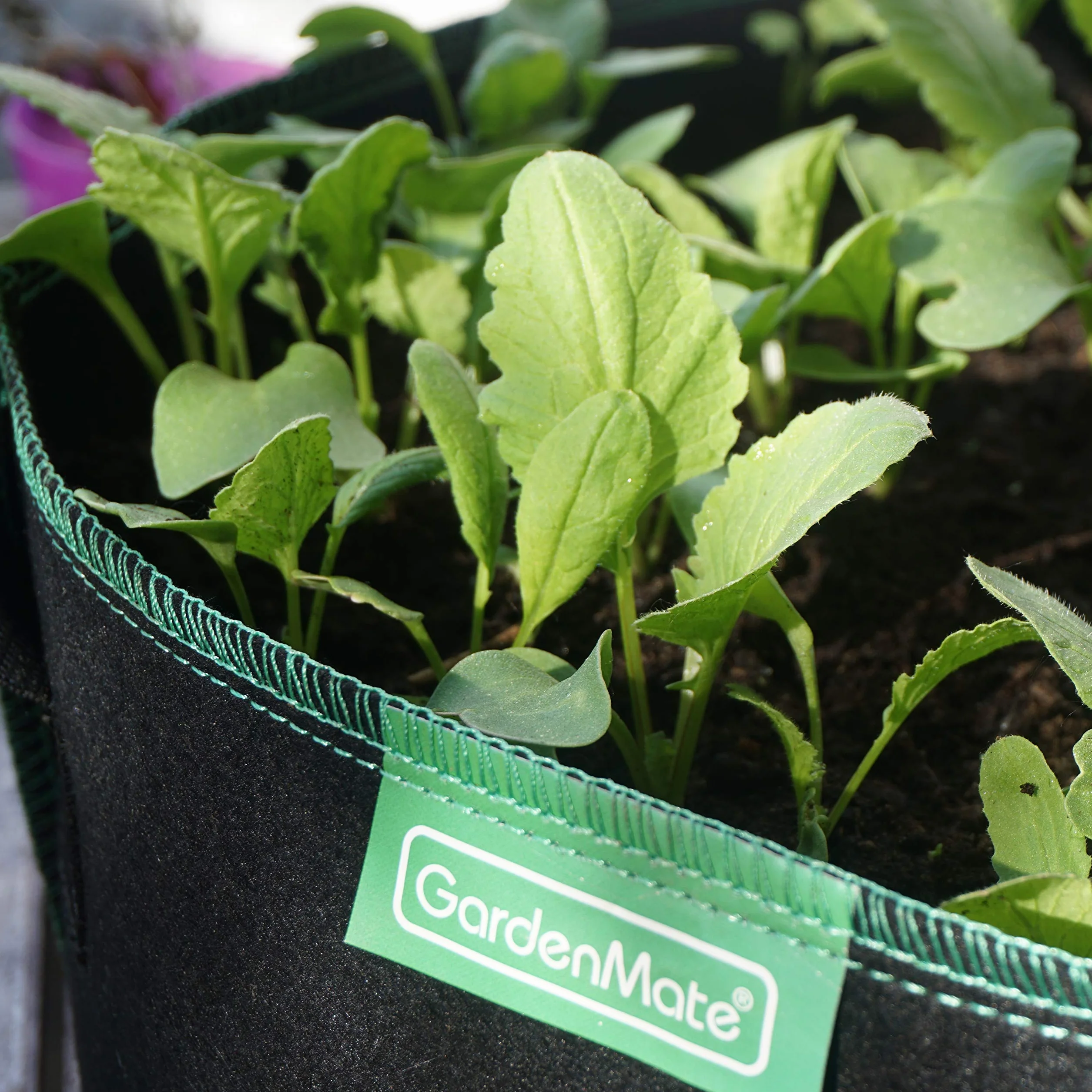 GardenMate – 5x worek do roślin 20 l z włókniny – Ø 31 cm, wysokość 26 cm – BLACKLINE