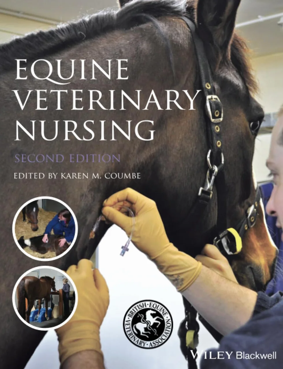 Equine Veterinary Nursing
