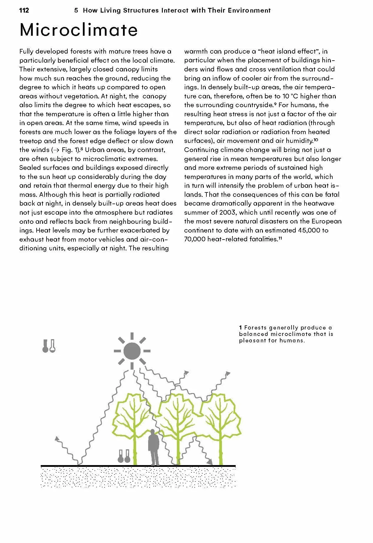 Growing Architecture: How to Design and Build with Trees