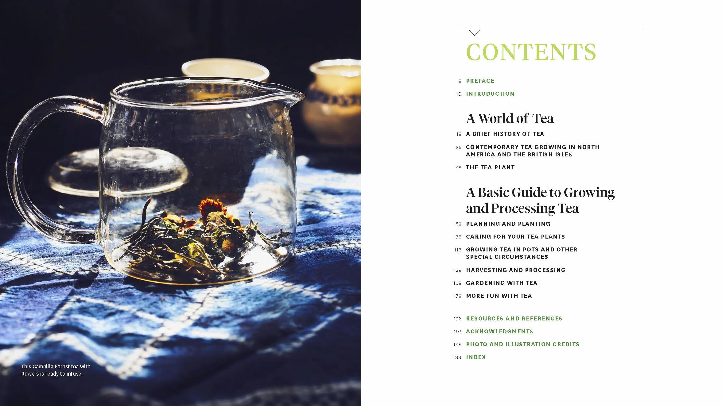 Grow Your Own Tea: The Complete Guide to Cultivating, Harvesting, and Preparing