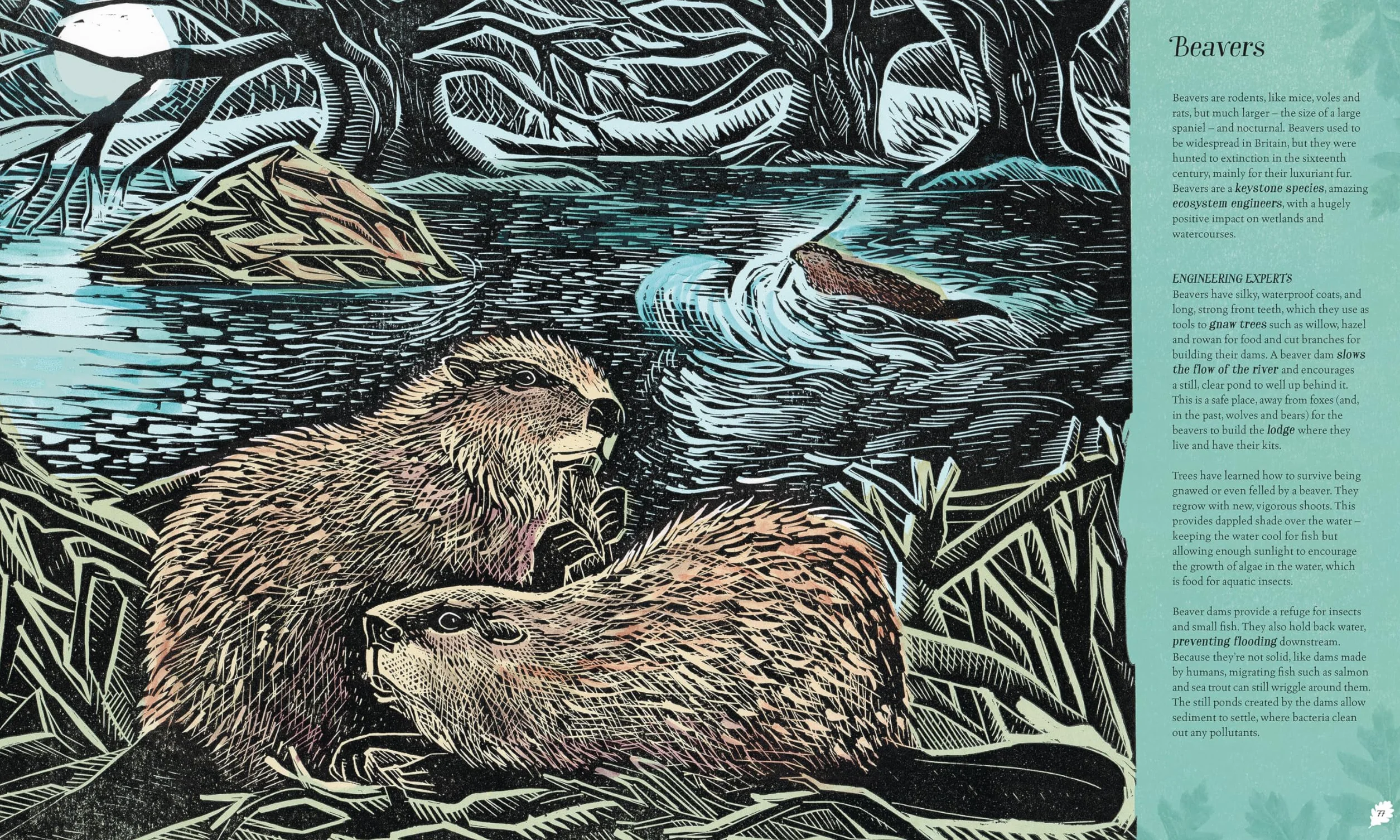 Wilding: How to Bring Wildlife Back - The New Illustrated Guide