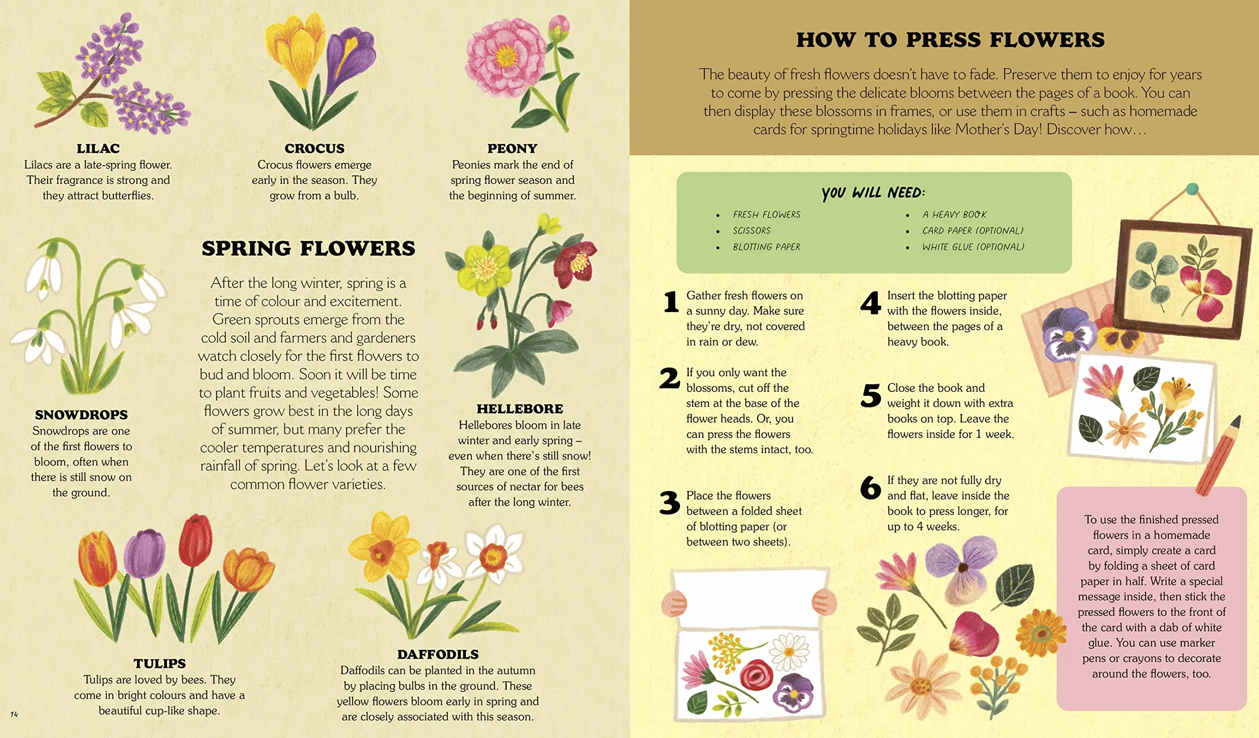 Little Country Cottage: A Spring Treasury of Recipes, Crafts and Wisdom