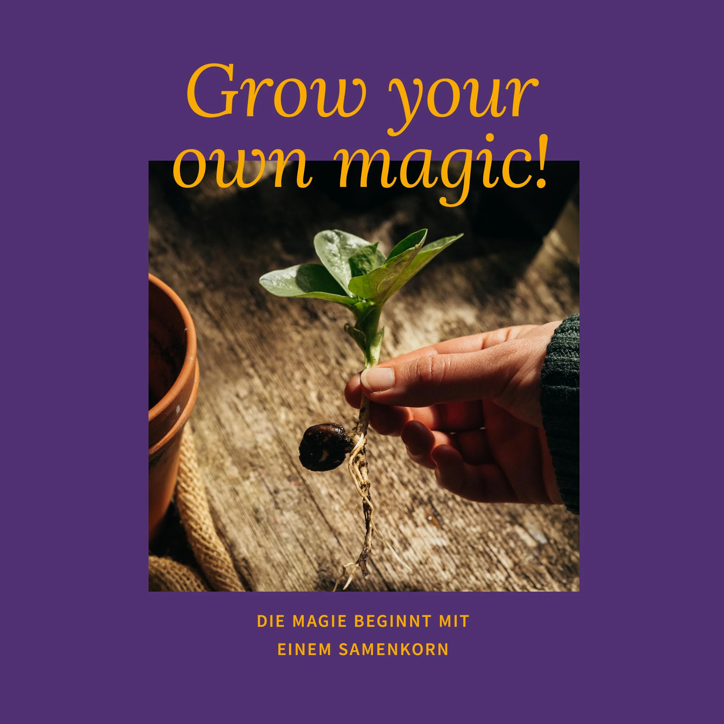 Magic Garden Seeds - Zestaw nasion do ogórków z 6 odmian: ogórki do konserw, ogórki sałatowe, koperek i cebula - chrupiąca różnorodność do łóżek, balkonu i kuchni - idealny do samodzielnego uprawiania