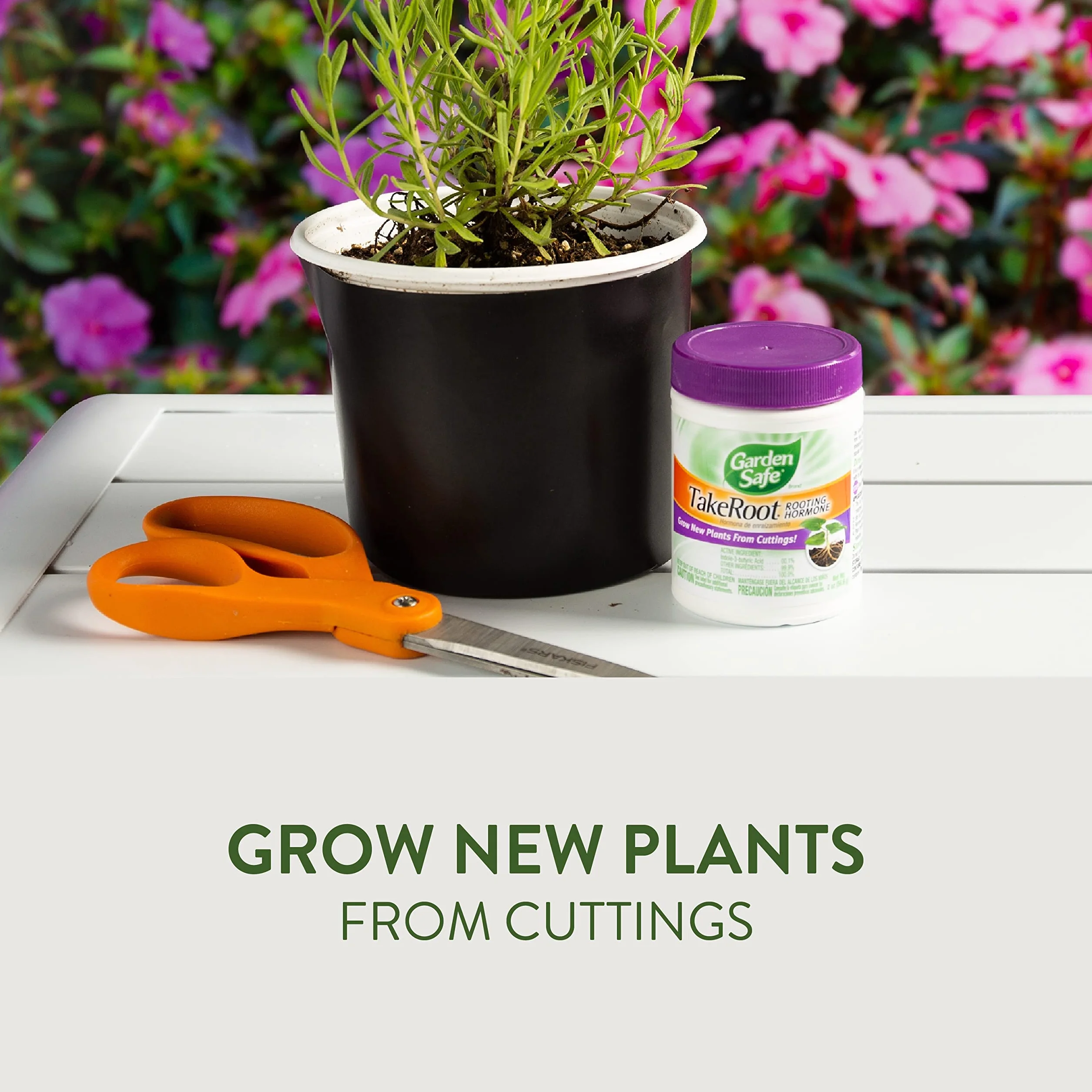 Garden Safe Weź ukorzenienie hormonu, wspomaga ukorzenienie, wyhodowanie nowych roślin z sadzonek, 59 g