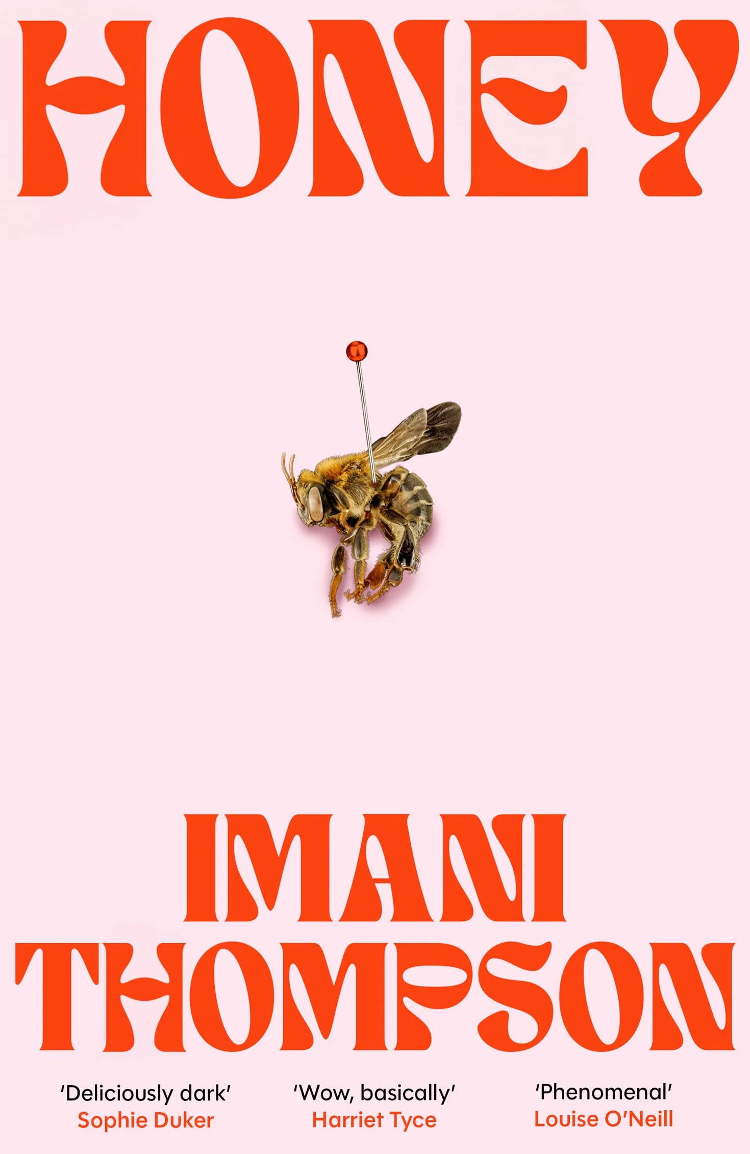 Honey: The utterly addictive killer debut of 2026, from ‘Britain’s brightest young novelist’ Vogue