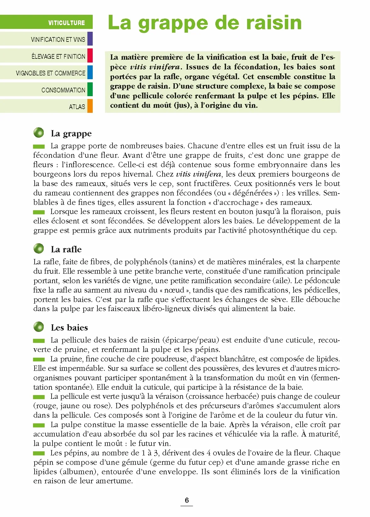 Les vins de France et du monde - Repères pratiques