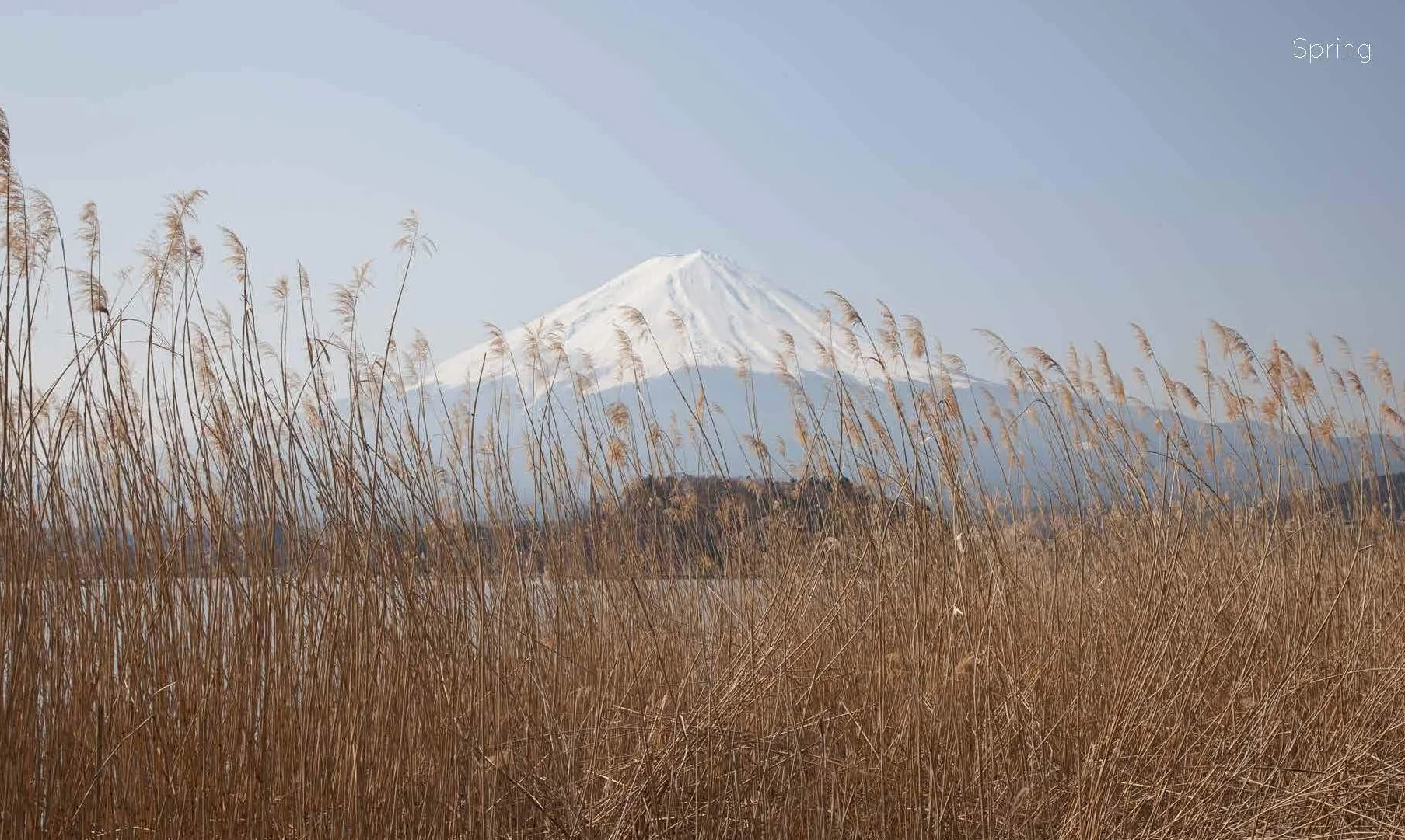 Japanese Gardens: A Journey