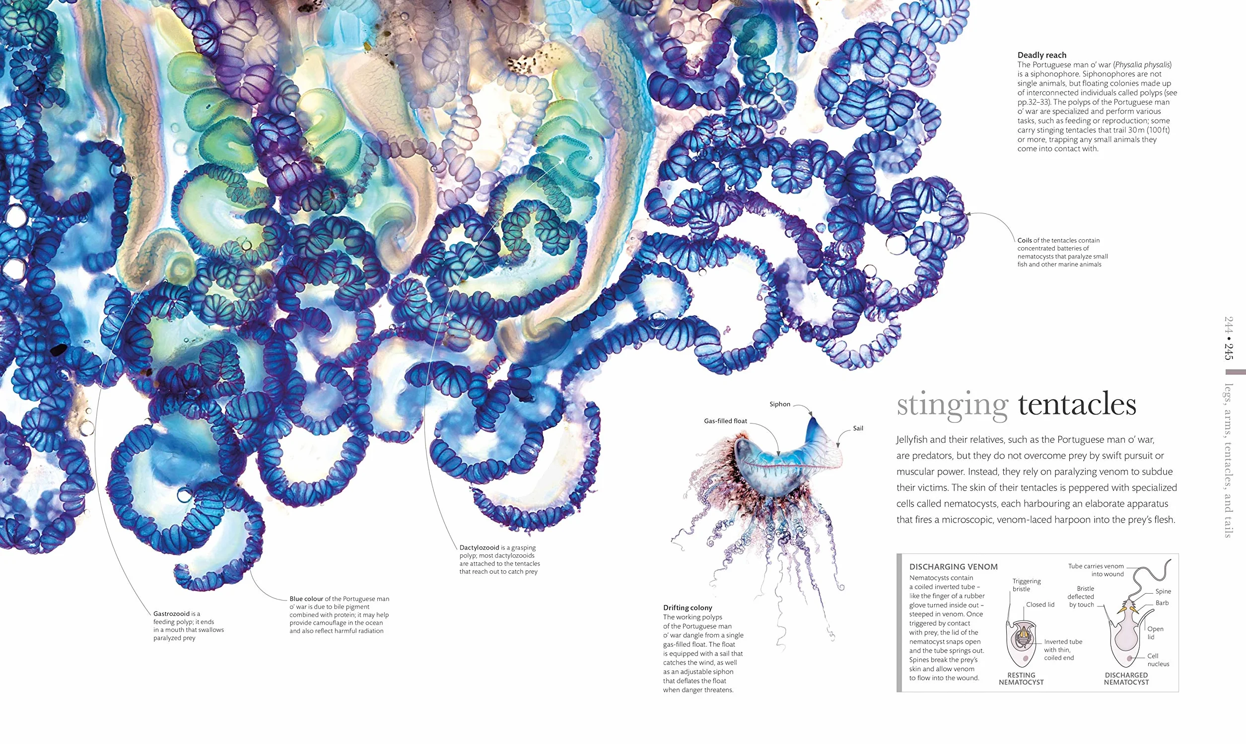 The Science of Animals: Inside their Secret World