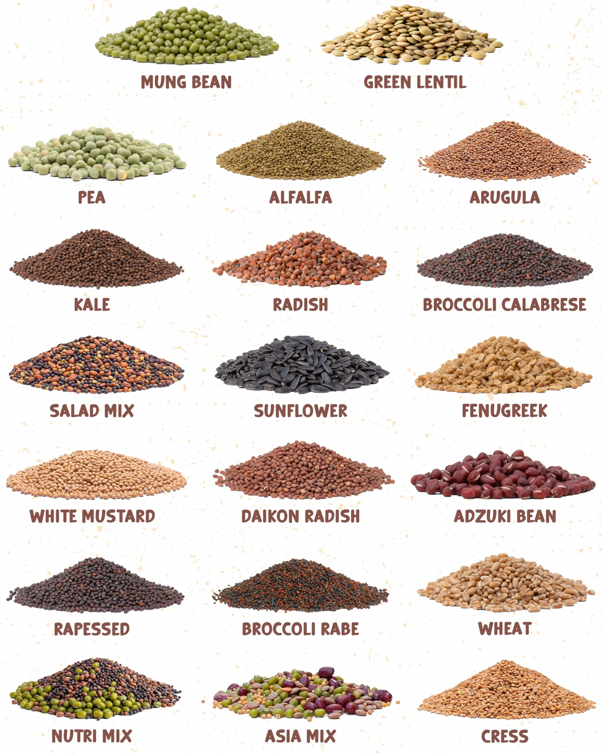 ZenGreens® - Organiczne Kiełki & Microgreens Zestaw Nasion - 20szt