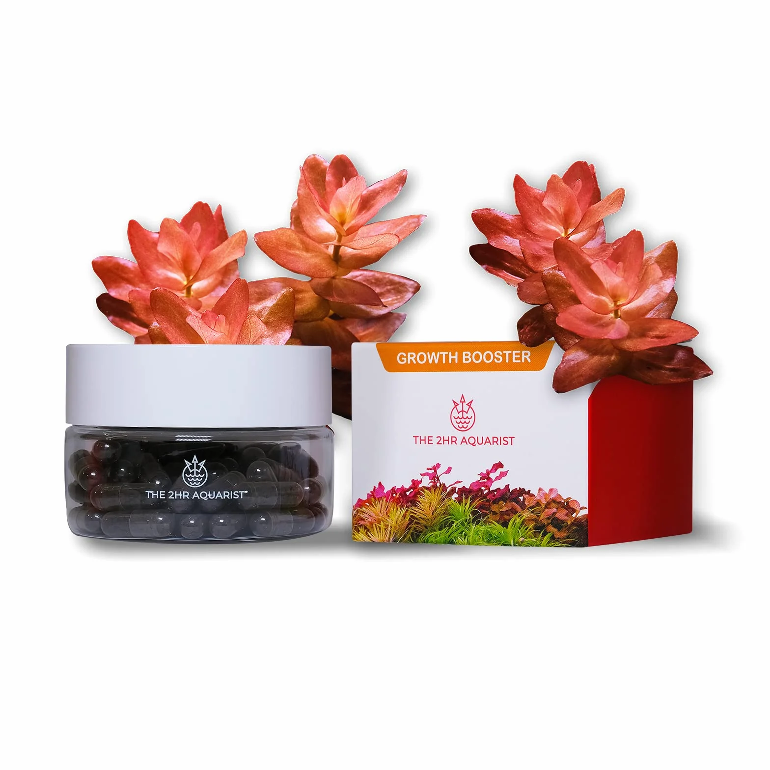 2Hr Aquarist APT Jazz Tabletki Korzeniowe do Akwarium Roślinnego (54 Tabs)
