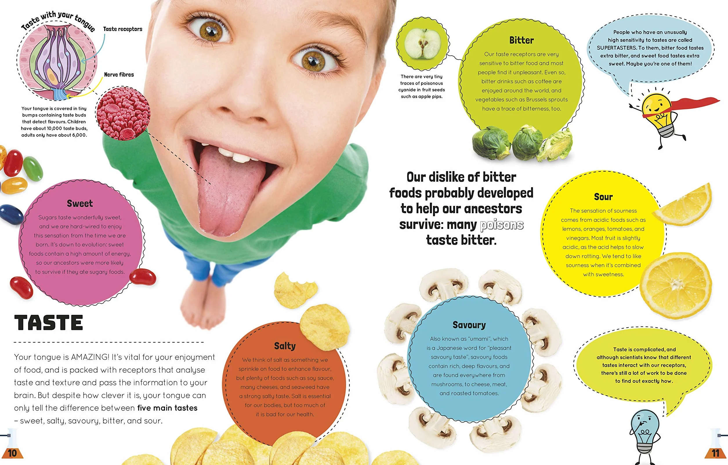 Science You Can Eat: Putting what we Eat Under the Microscope