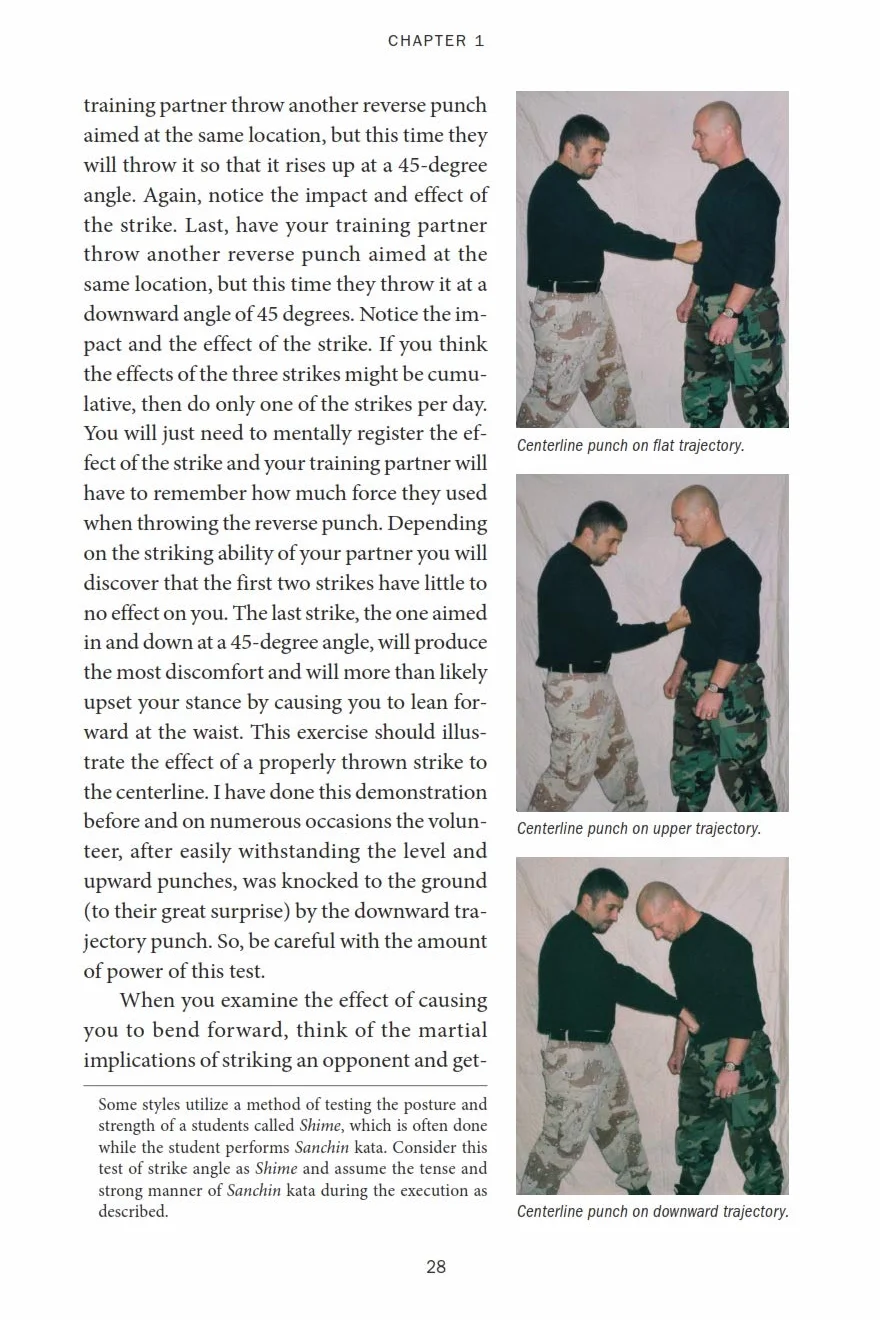 The 36 Deadly Bubishi Points: The Science and Techniques of Pressure Point Fighting - Defend Yourself Against Pressure Point Attacks!