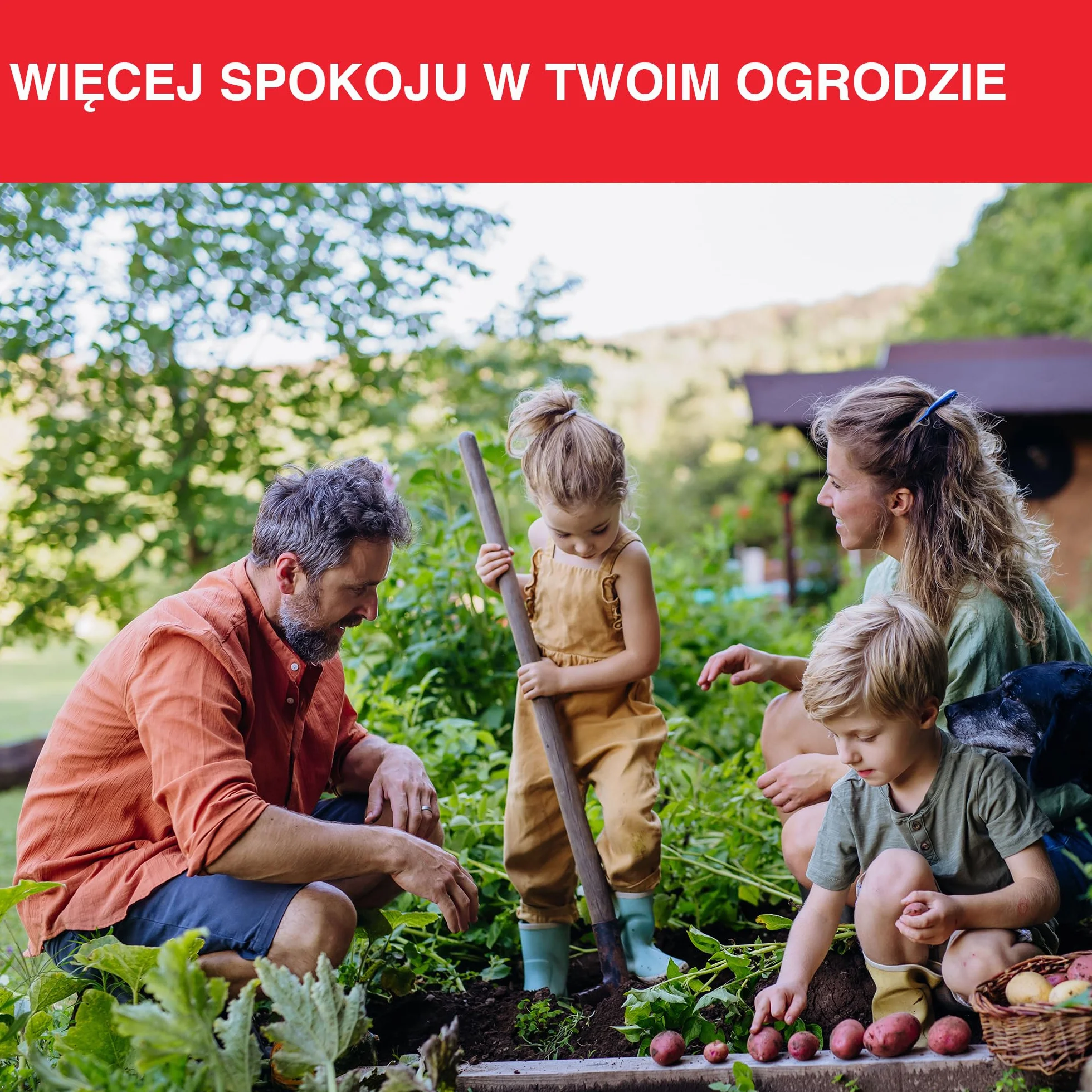 SWISSINNO Pułapka na Nornice PRO SuperCat – Tunelowa Pułapka Zatrzaskowa na Nornice, Czuły Mechanizm Spustowy, Łatwa Instalacja, Wielokrotnego Użytku, do Ogrodu i Trawnika – 1 Sztuka