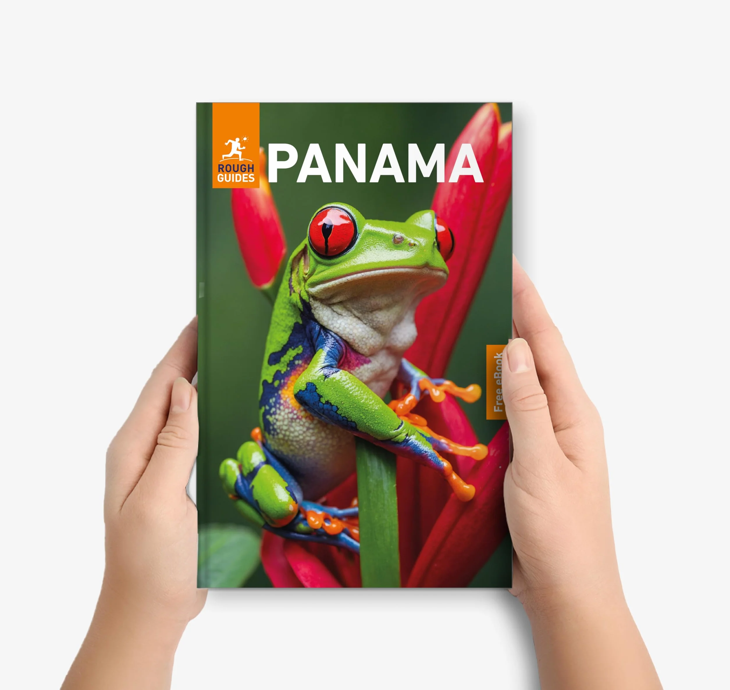 Rough Guides Panama: Travel Guide with eBook