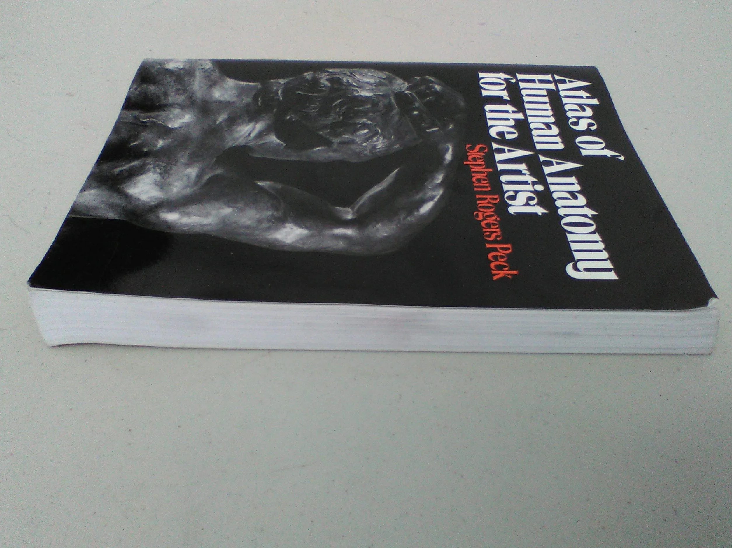 Atlas of Human Anatomy for the Artist: 689