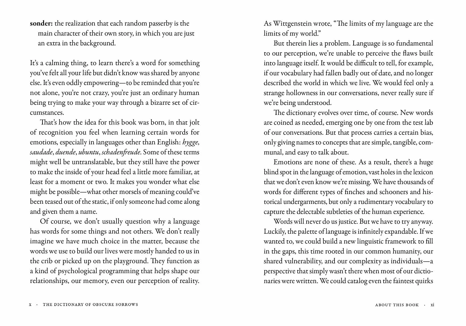 The Dictionary of Obscure Sorrows