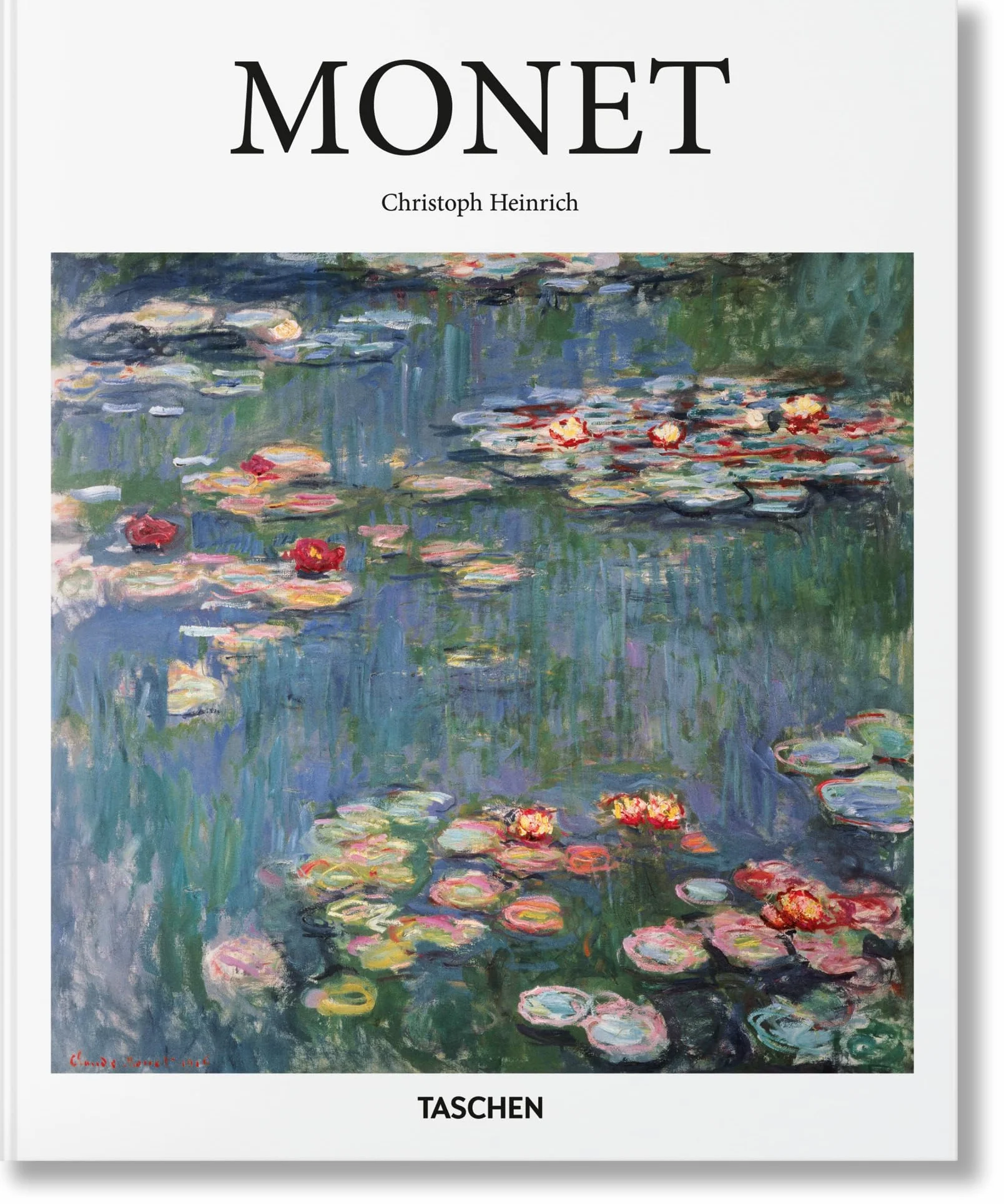Monet: Capturing the Ever-Changing Face of Reality