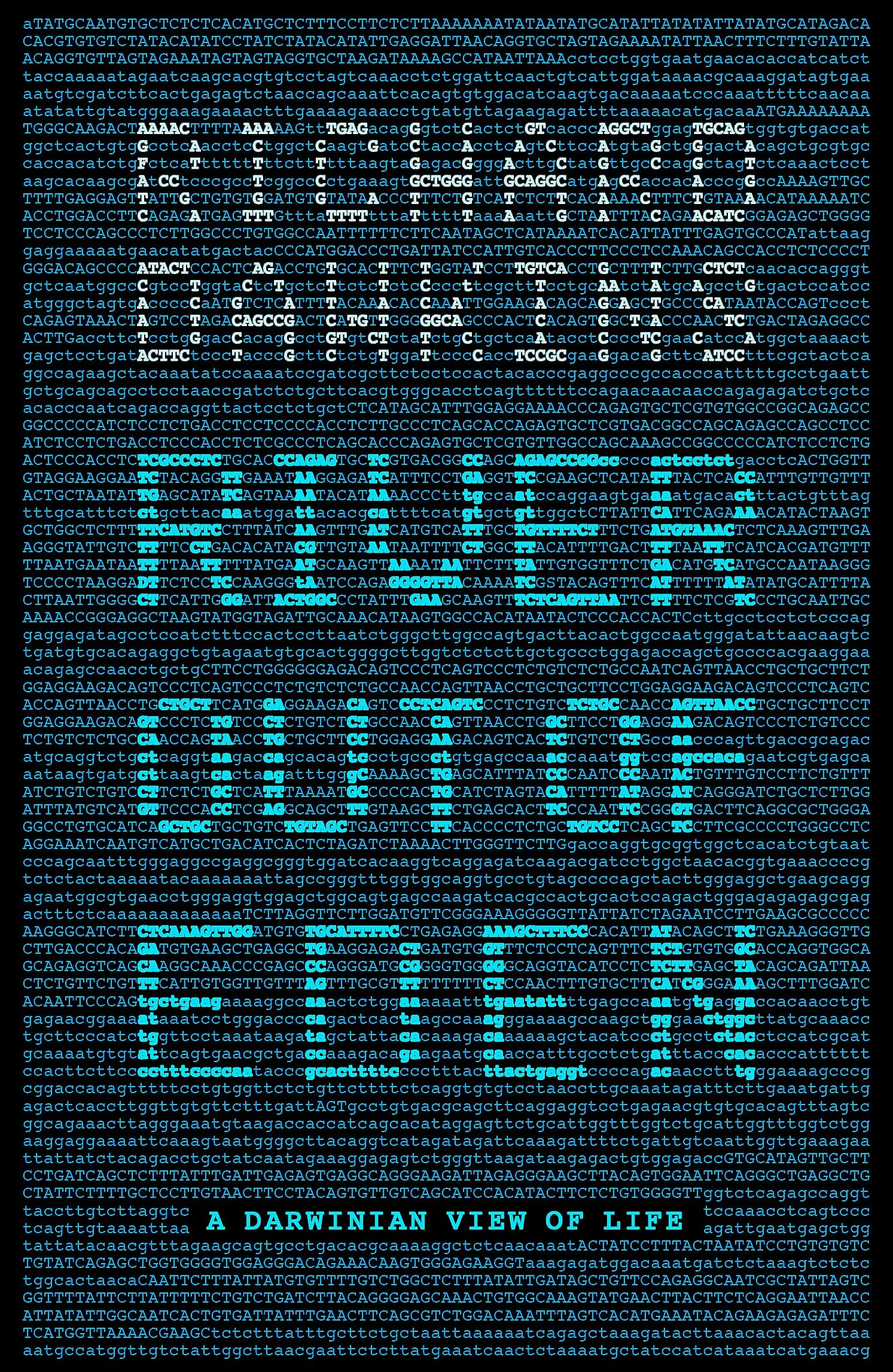 River out of Eden: A Darwinian View of Life