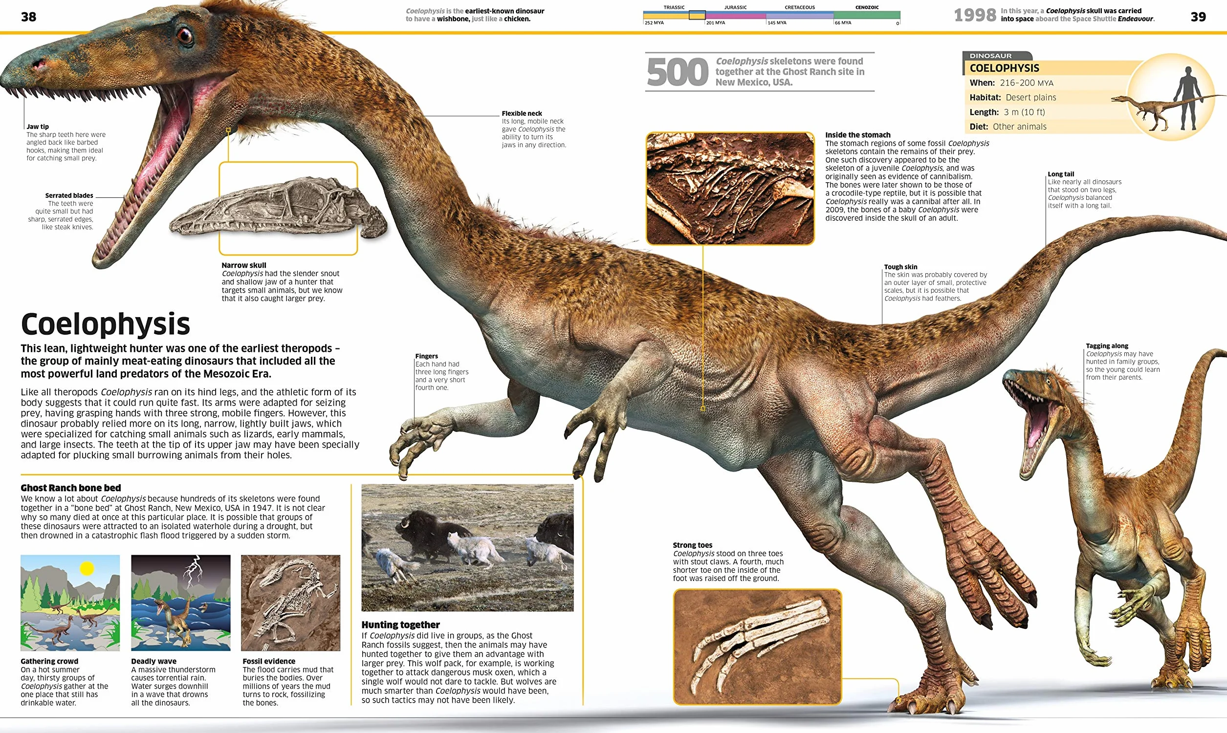 Knowledge Encyclopedia Dinosaur!: Over 60 Prehistoric Creatures as You've Never Seen Them Before (Knowledge Encyclopedias)