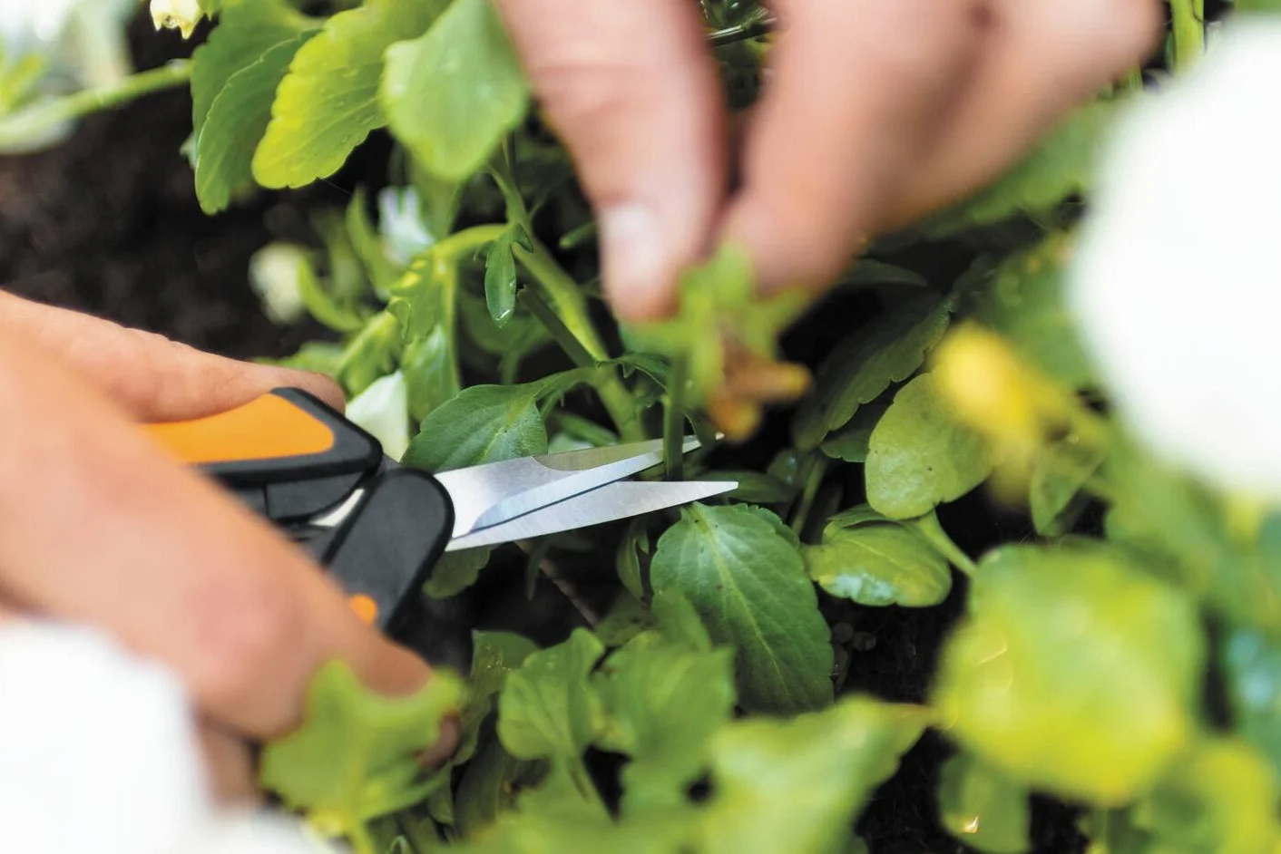 Fiskars Solid Sekator Teleskopowy, Pomarańczowy/Czarny, 21.5 cm
