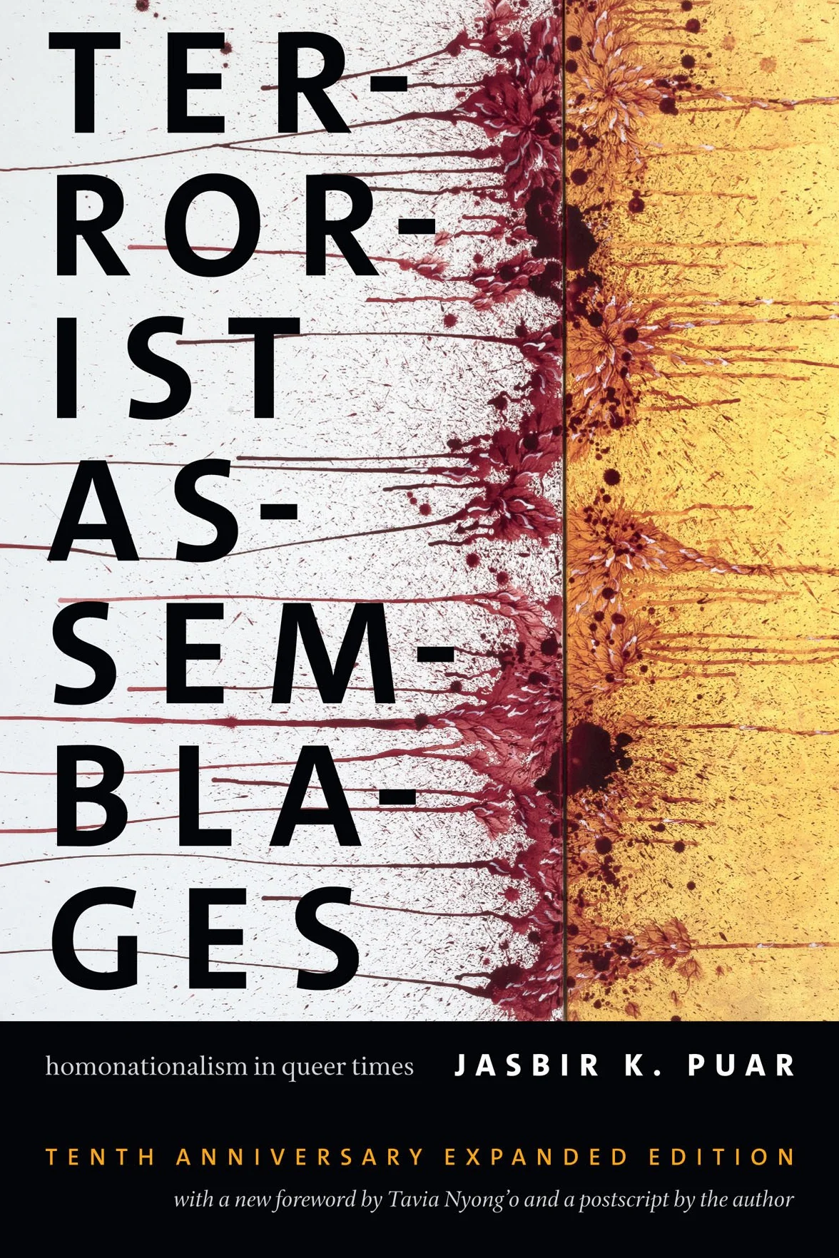 Terrorist Assemblages: Homonationalism in Queer Times
