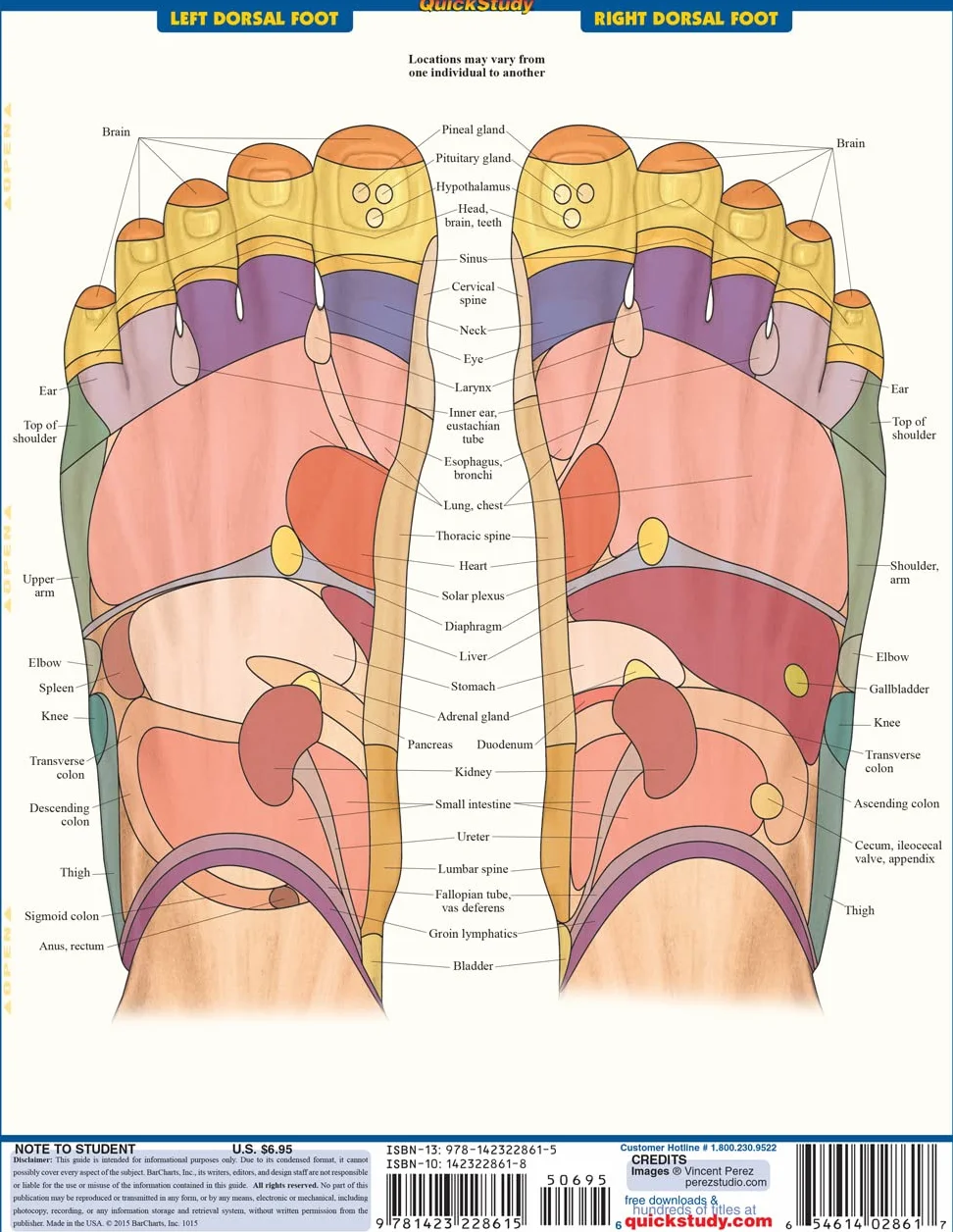 Reflexology: Pressure Points of the Hands & Feet, Color-coded & Mapped from Multiple Views