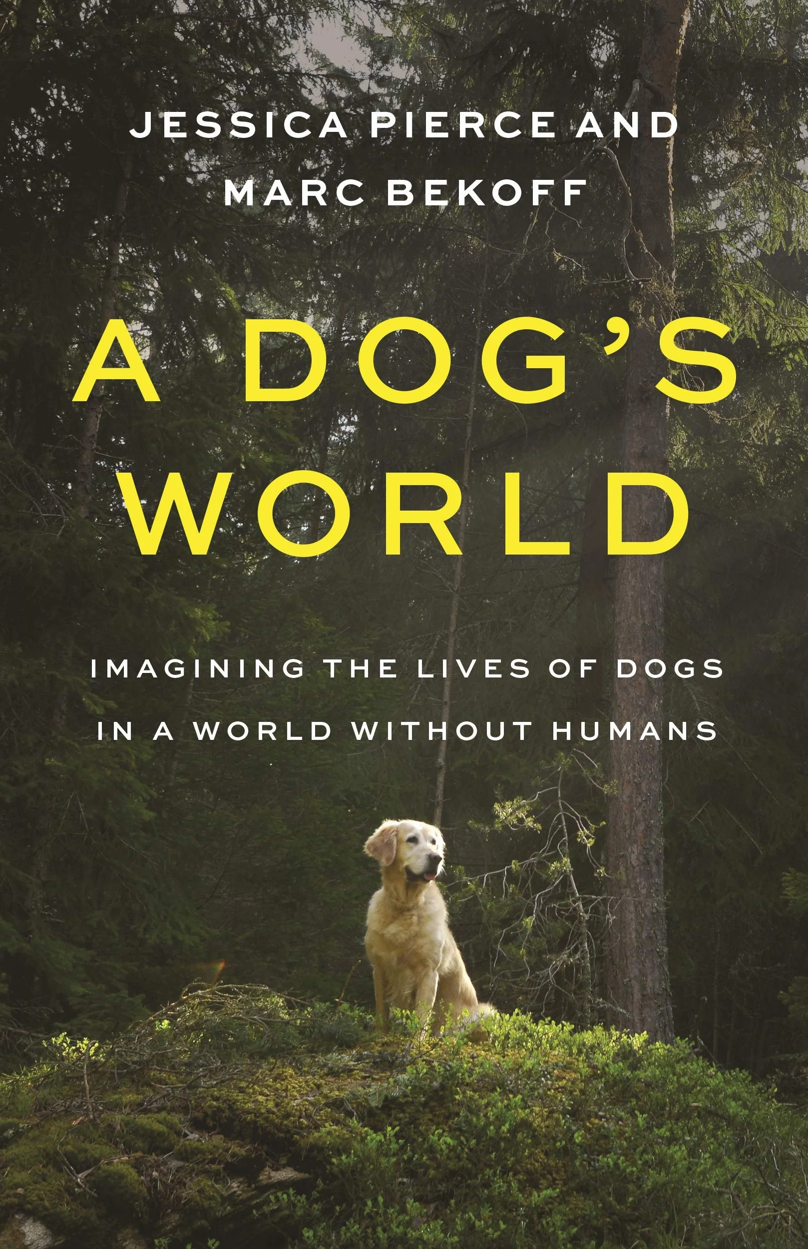 A Dog's World: Imagining the Lives of Dogs in a World Without Humans
