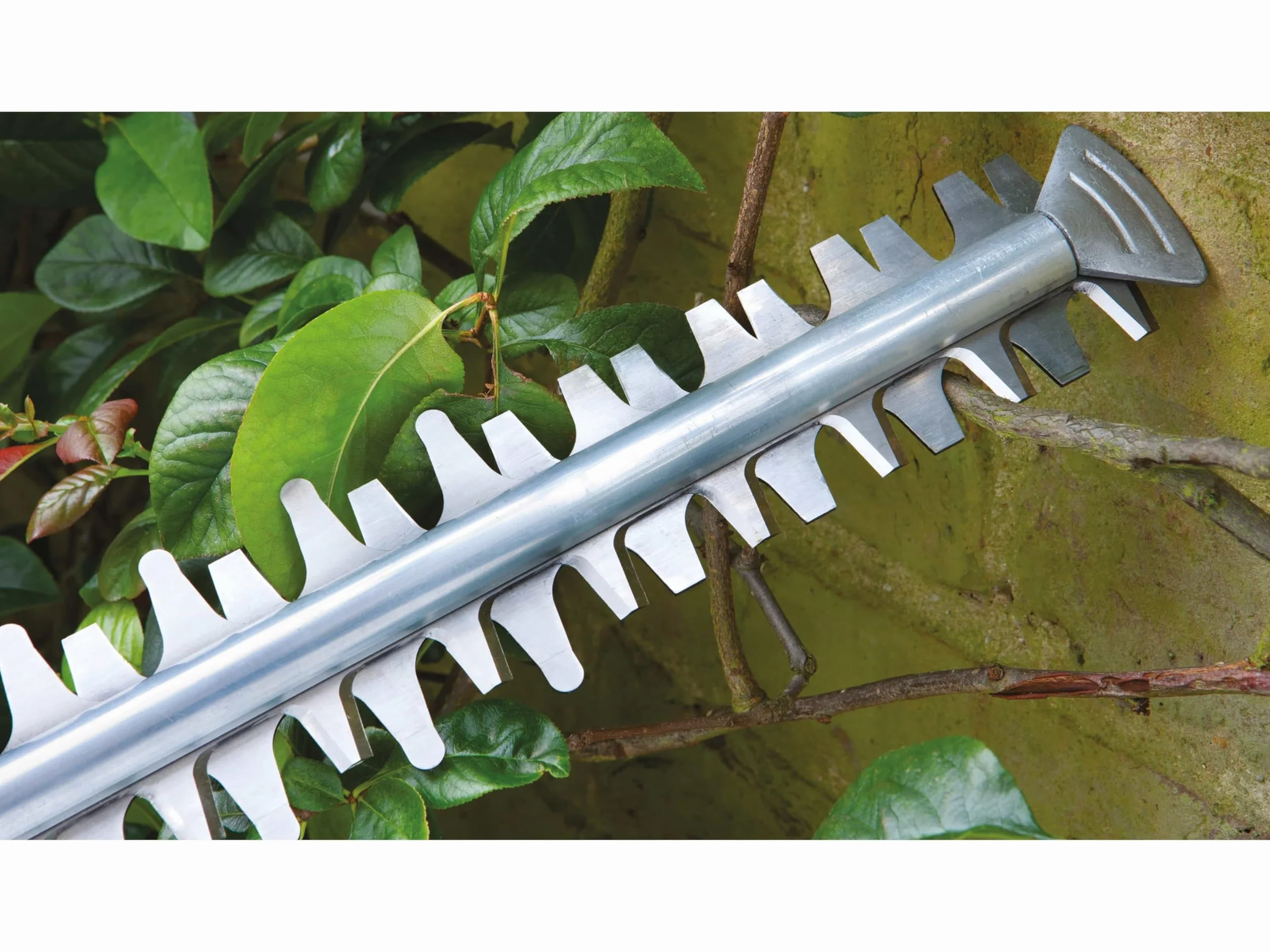 Bosch Advancedhedgecut 65 Nożyce Ogrodowe, Zielony/Czarny, ‎24 x 69 x 2,5 cm; 4 kg