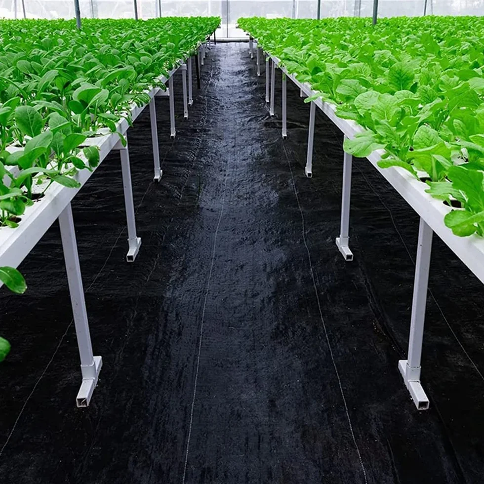 Agrowłóknina/Agrotkanina wiosenna ściółkująca na chwasty czarna 70g/m2 0,8x50m John Green