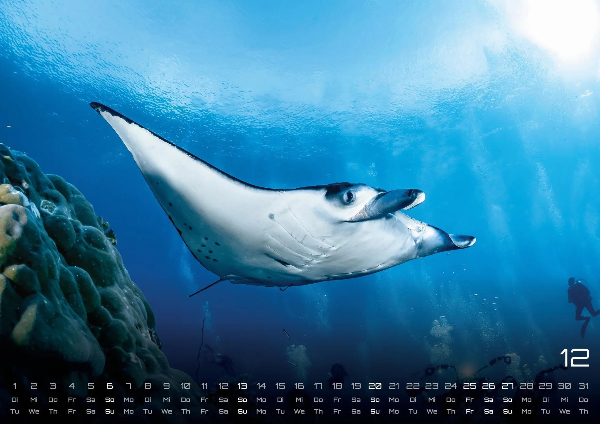 Sealife - verborgene Tiefen - 2026 - Kalender DIN A2: Der Wandkalender mit den schönsten Unterwasser-Motiven für das Jahr 2026 im extragroßen Format DIN A2 (ca. 60 x 42 cm)!