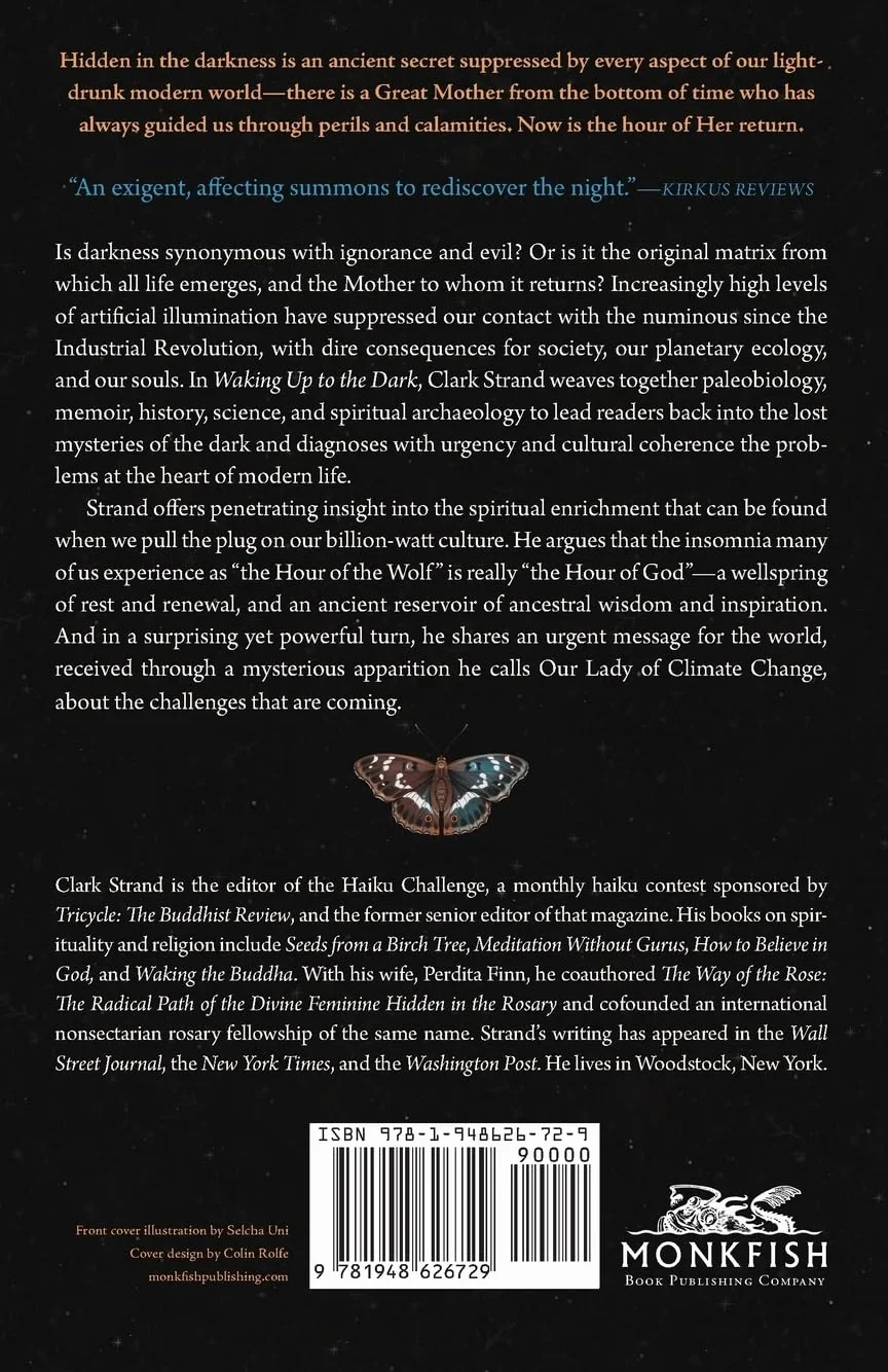 Waking Up to the Dark: The Black Madonna's Gospel for an Age of Extinction and Collapse