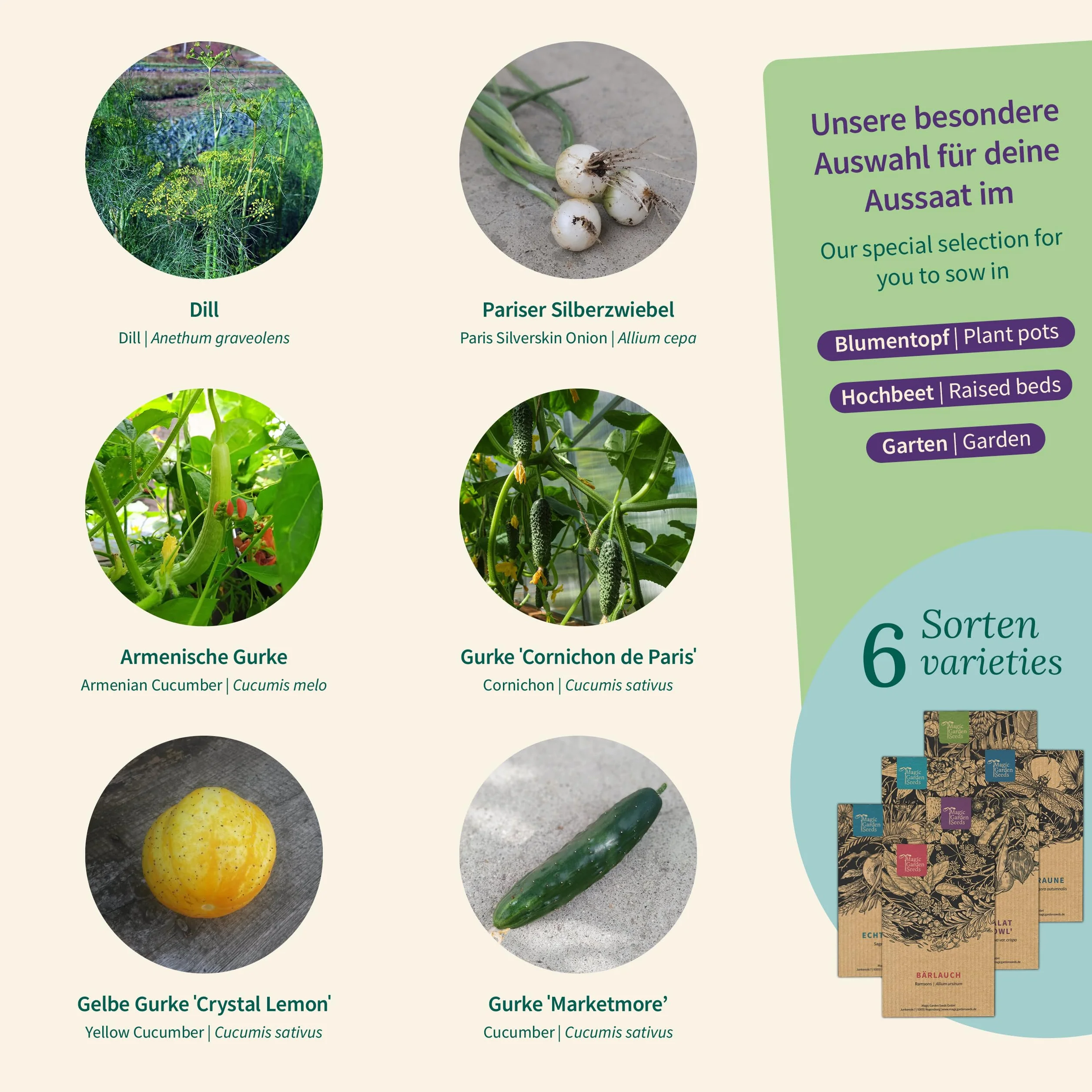 Magic Garden Seeds - Zestaw nasion do ogórków z 6 odmian: ogórki do konserw, ogórki sałatowe, koperek i cebula - chrupiąca różnorodność do łóżek, balkonu i kuchni - idealny do samodzielnego uprawiania