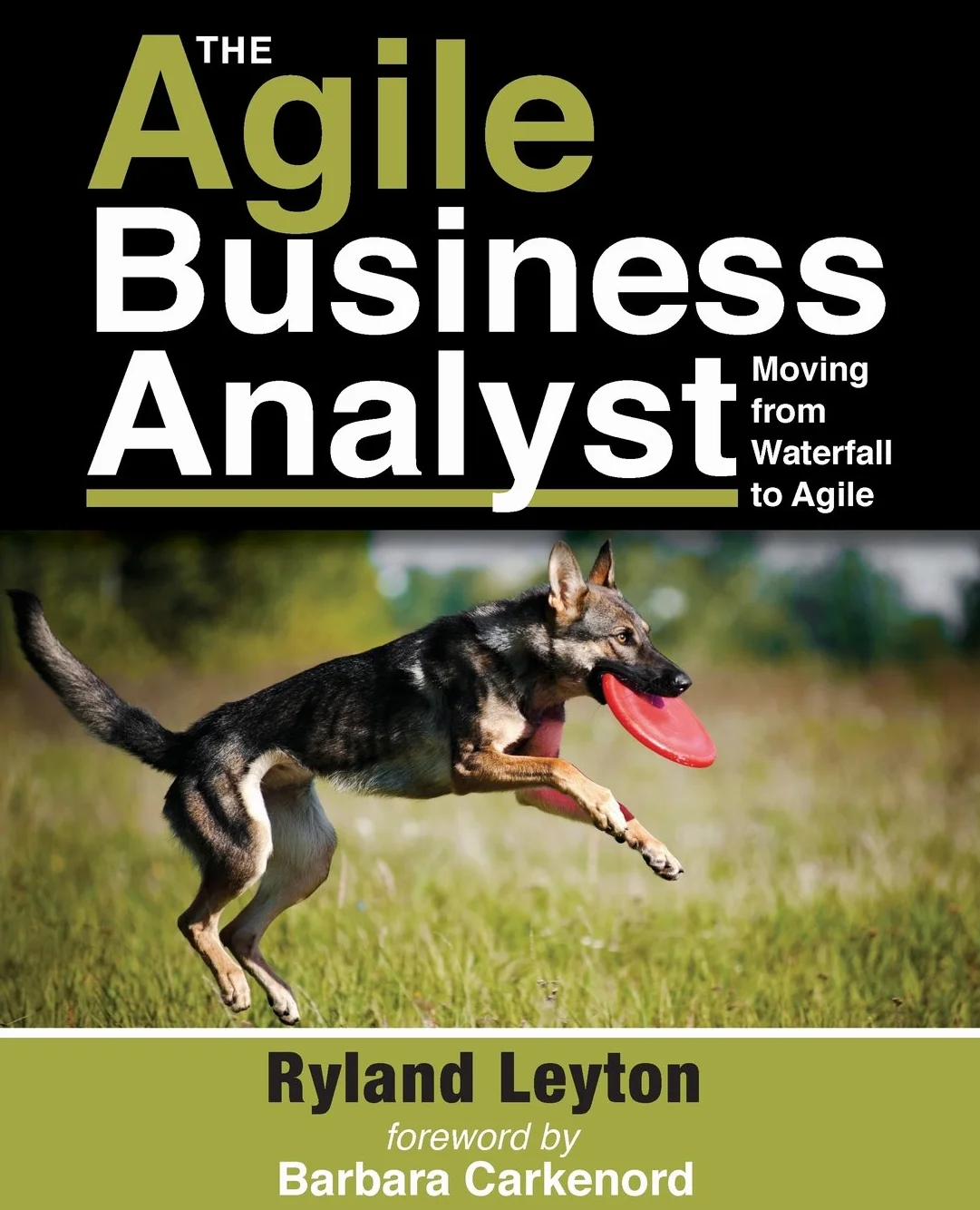 The Agile Business Analyst: Moving from Waterfall to Agile