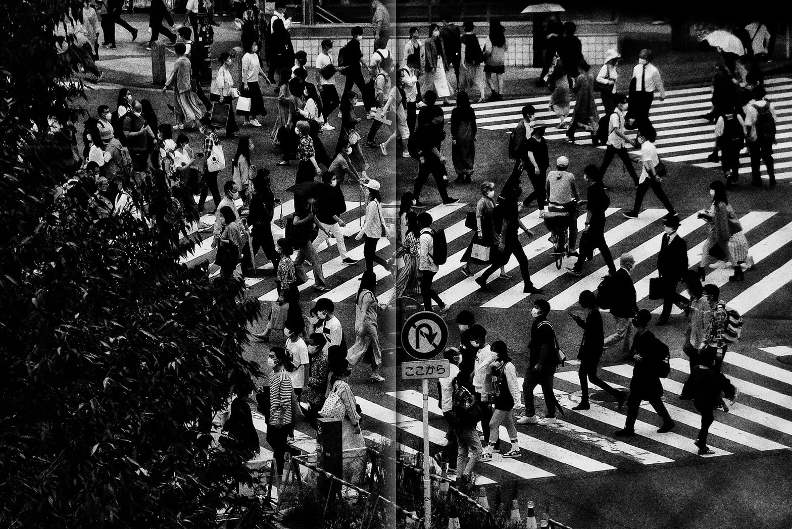 Daido Moriyama: Record 2