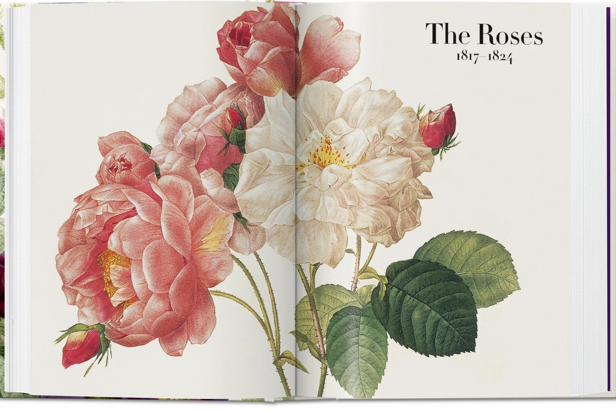 Le livre des fleurs: The Book of Flowers. 45th Ed.