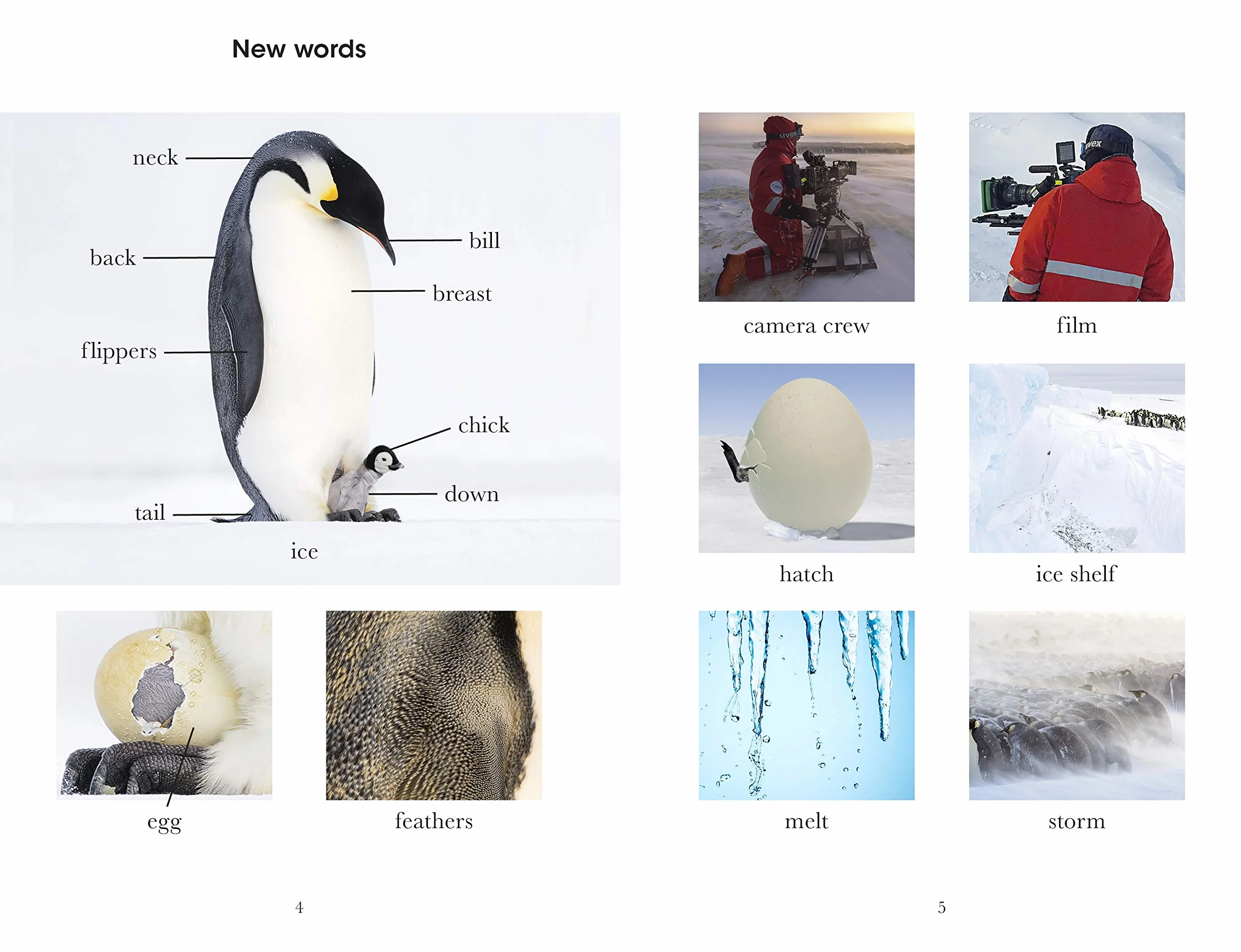 Penguin Readers Level 2 Dynasties Penguins: Abridged Edition