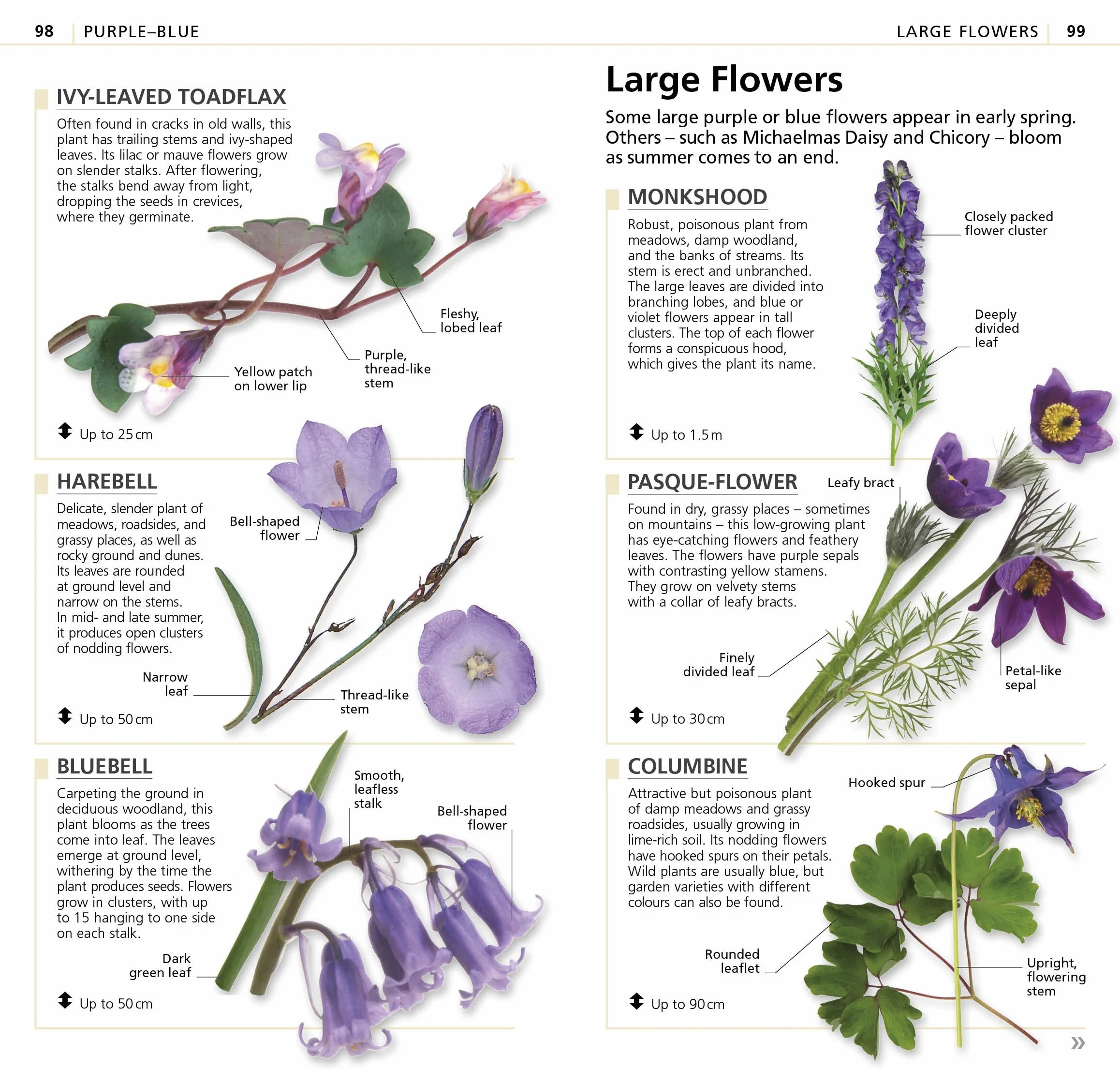 What's that Flower?: The Simplest ID Guide Ever