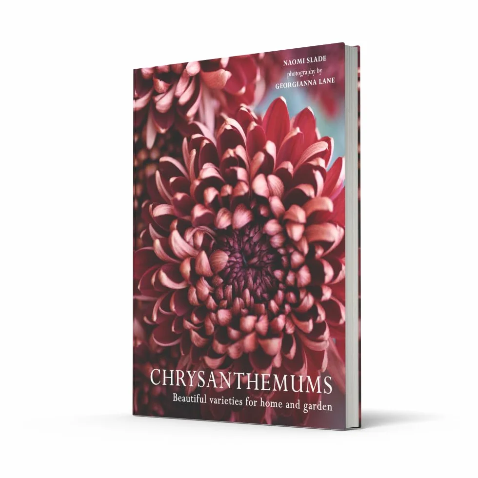 Chrysanthemums: The ultimate guide for growing and cutting flower varieties for the home and garden