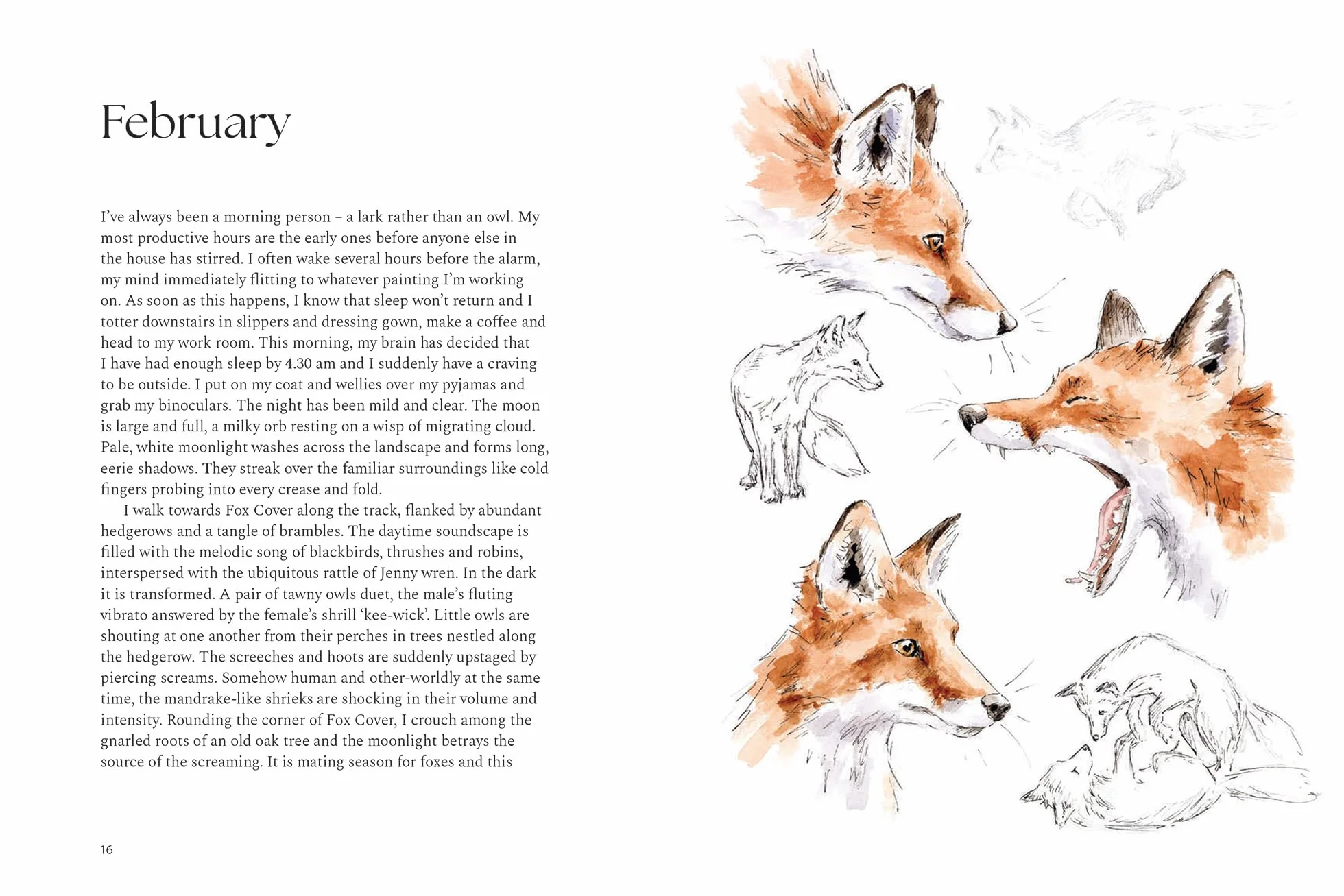 A Wilding Year: Bringing Life Back to the Land