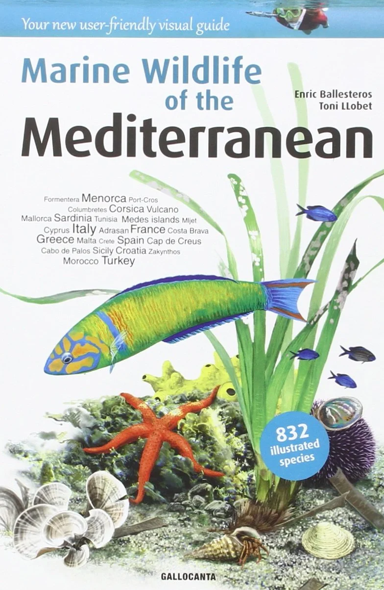 Marine Wildlife of the Mediterranean