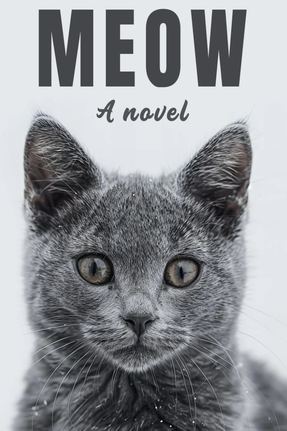 Meow: A Novel for Your Cat