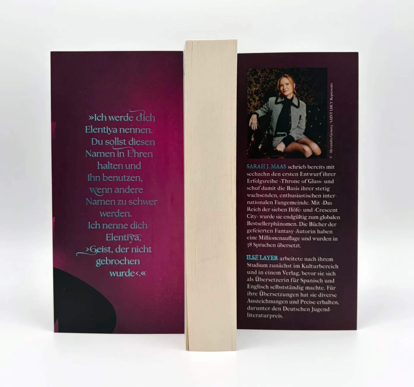 Throne of Glass 2 - Kriegerin im Schatten: Roman