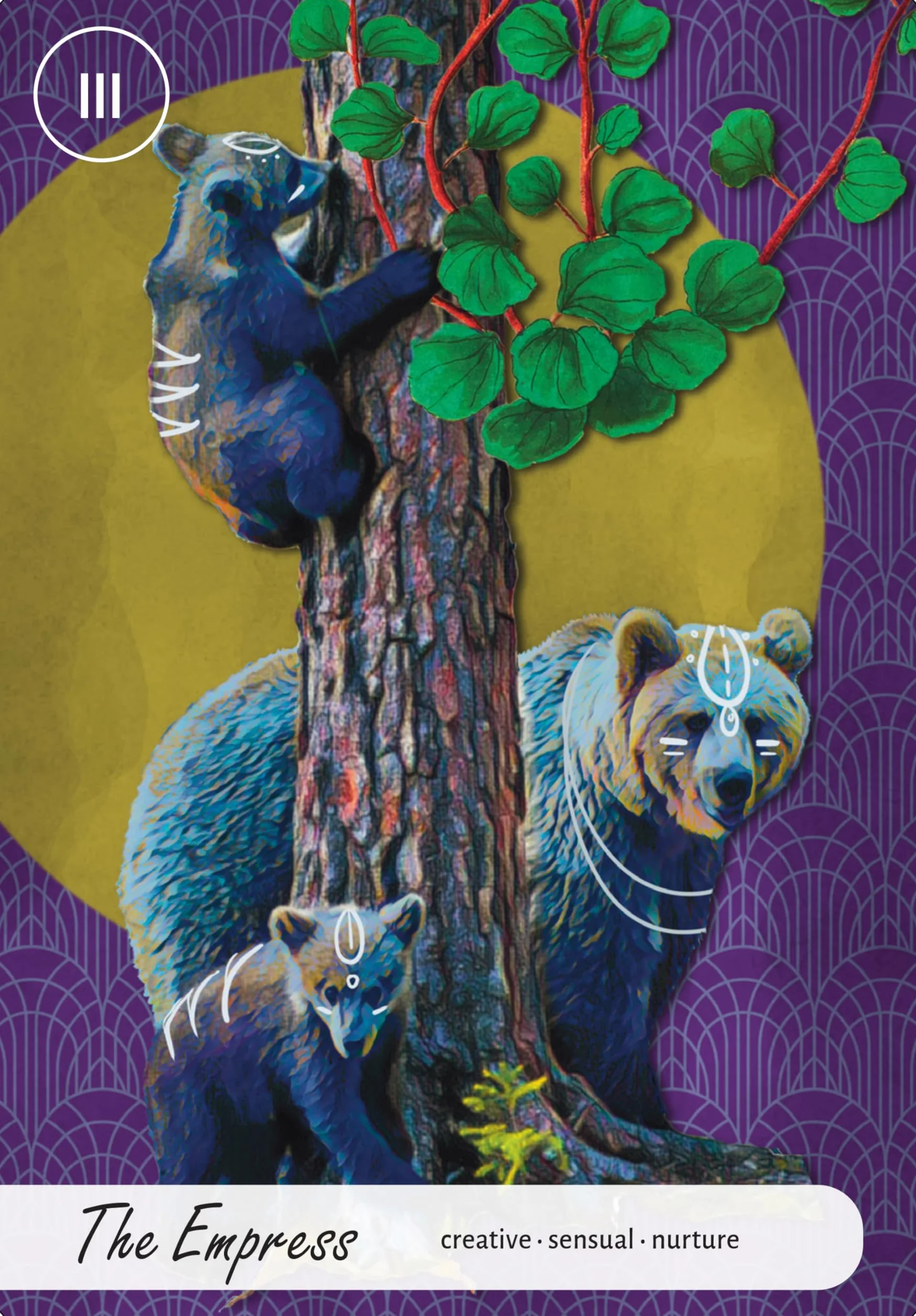 Wise Earth Medicine Tarot: (78 Full-Color Cards and 96-Page Full-Color Guidebook)