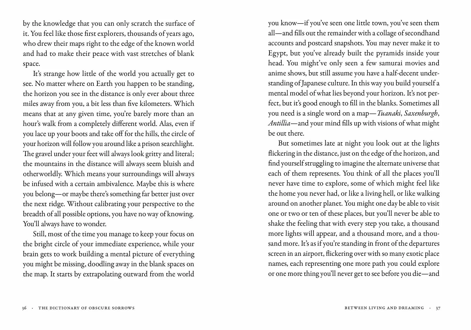 The Dictionary of Obscure Sorrows