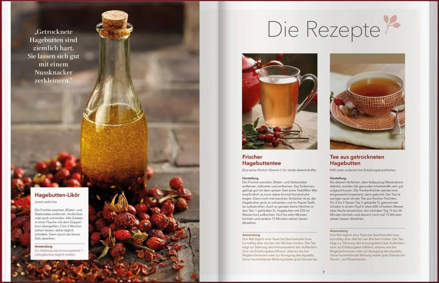 Landlust Naturapotheke: Naturrezepte für Gesundheit und Wohlbefinden - Herbst und Winter. Mit den Heilkräften der Natur gestärkt durch die kalte Jahreszeit. Tipps zu Heilpflanzen und ihrer Anwendung.