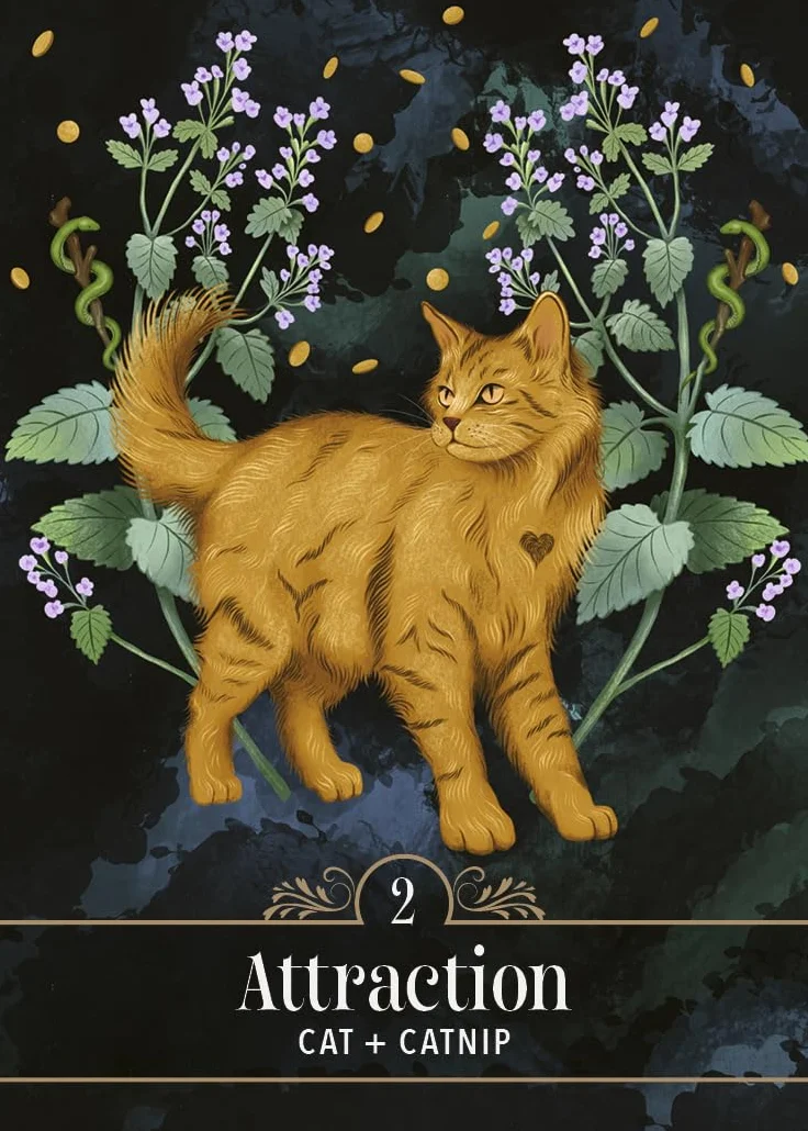 The Familiar Magic Pocket Oracle: A 44-Card Deck and Guidebook