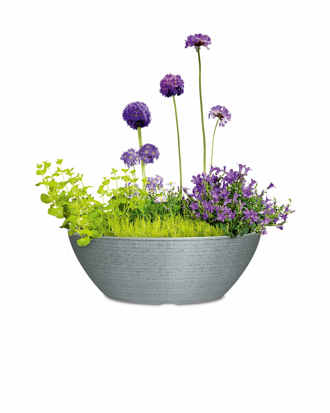 Scheurich Barceo Bowl 40, donica na rośliny/donica na rośliny, okrągła, kolor: Stony Grey, wyprodukowana z tworzywa sztucznego pochodzącego z recyklingu, do użytku na zewnątrz, 18
