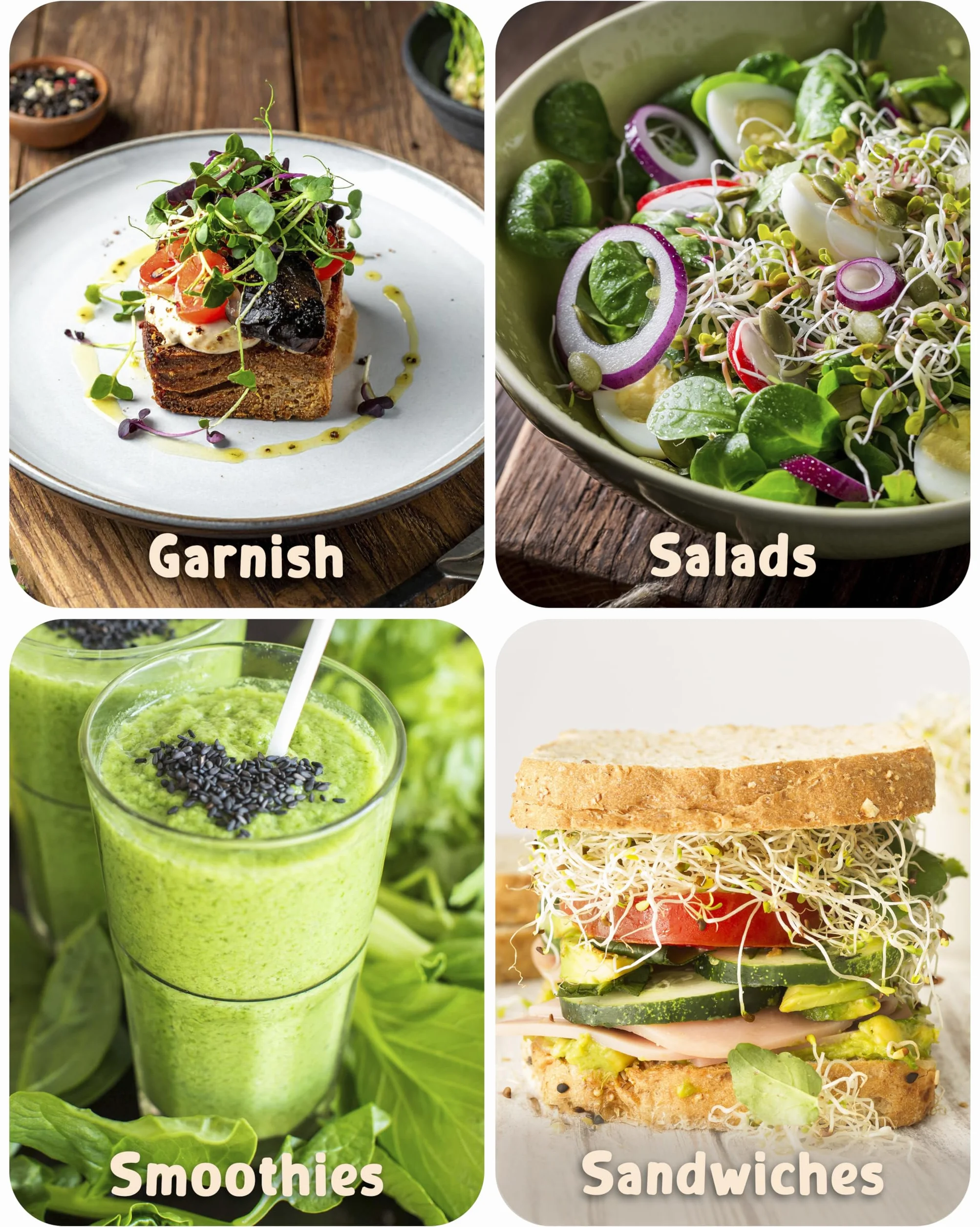 ZenGreens® - Organiczne Kiełki & Microgreens Zestaw Nasion - 20szt
