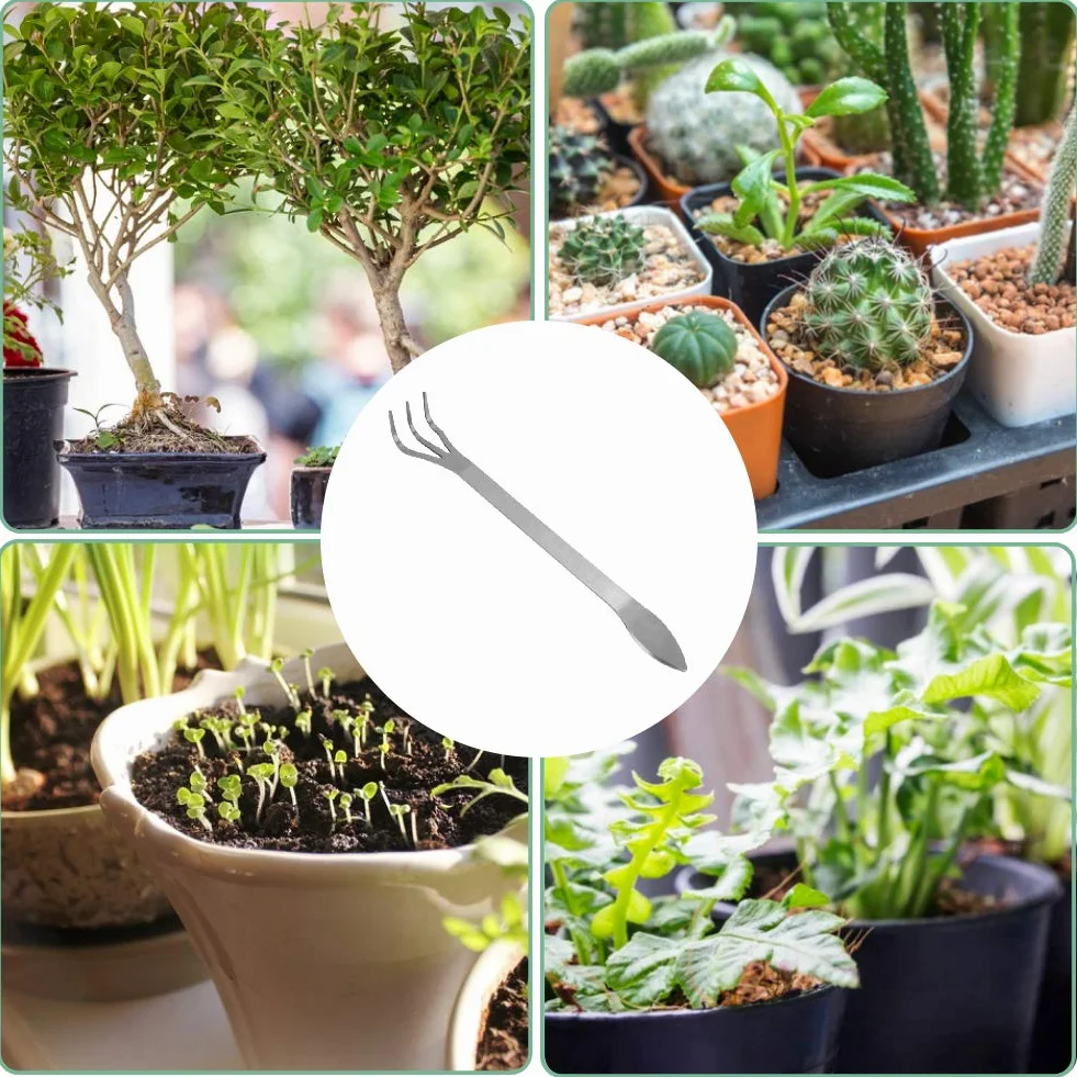 Haofy bonsai grabie korzeń ze stali nierdzewnej 3-oczka poluzowane gleby bonsai narzędzia do drzewa z ergonomicznym uchwytem bonsai narzędzia wytrzymałe bardzo mocne